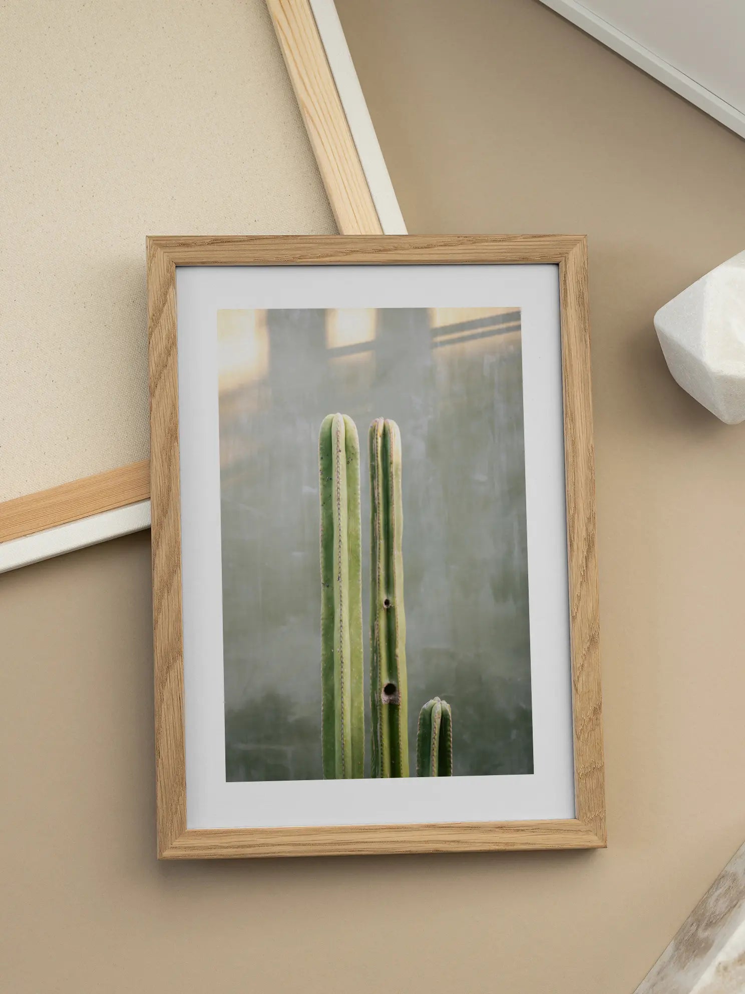 Green Cactus Poster