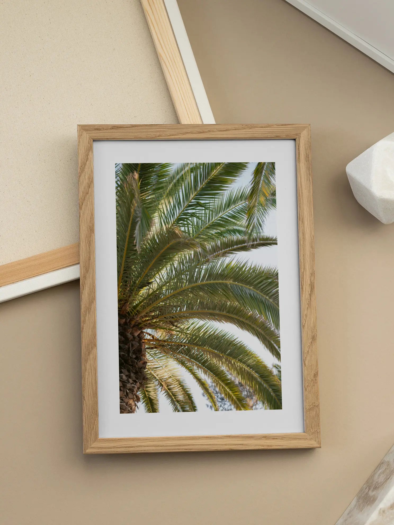 Green Palm Poster