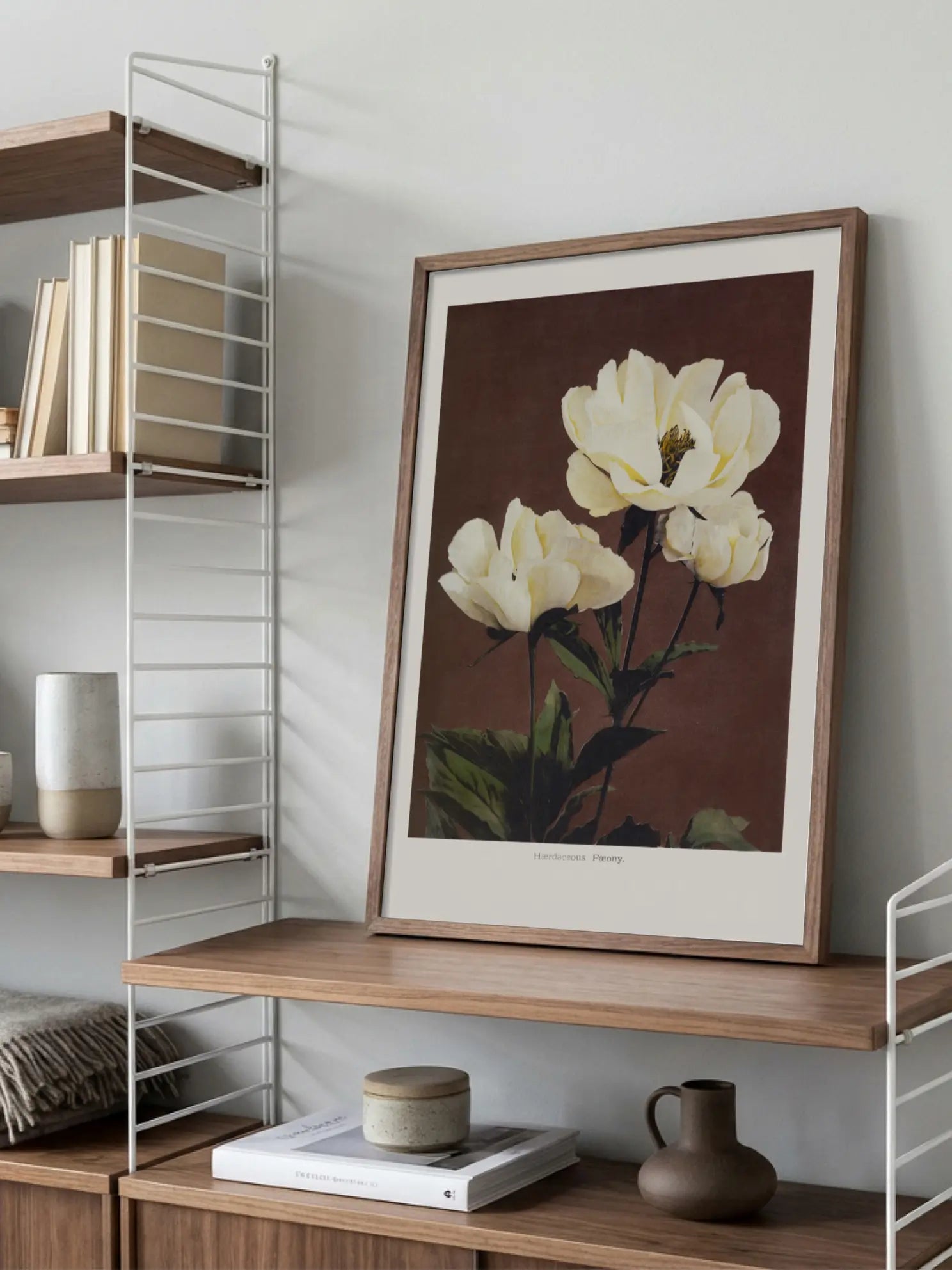 Herbaceous Peony Poster