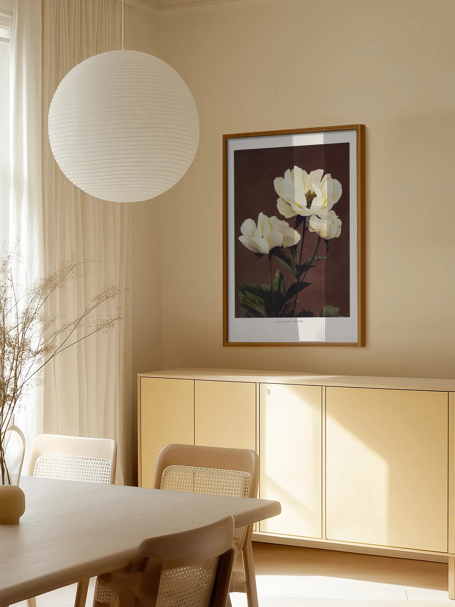 Herbaceous Peony Poster