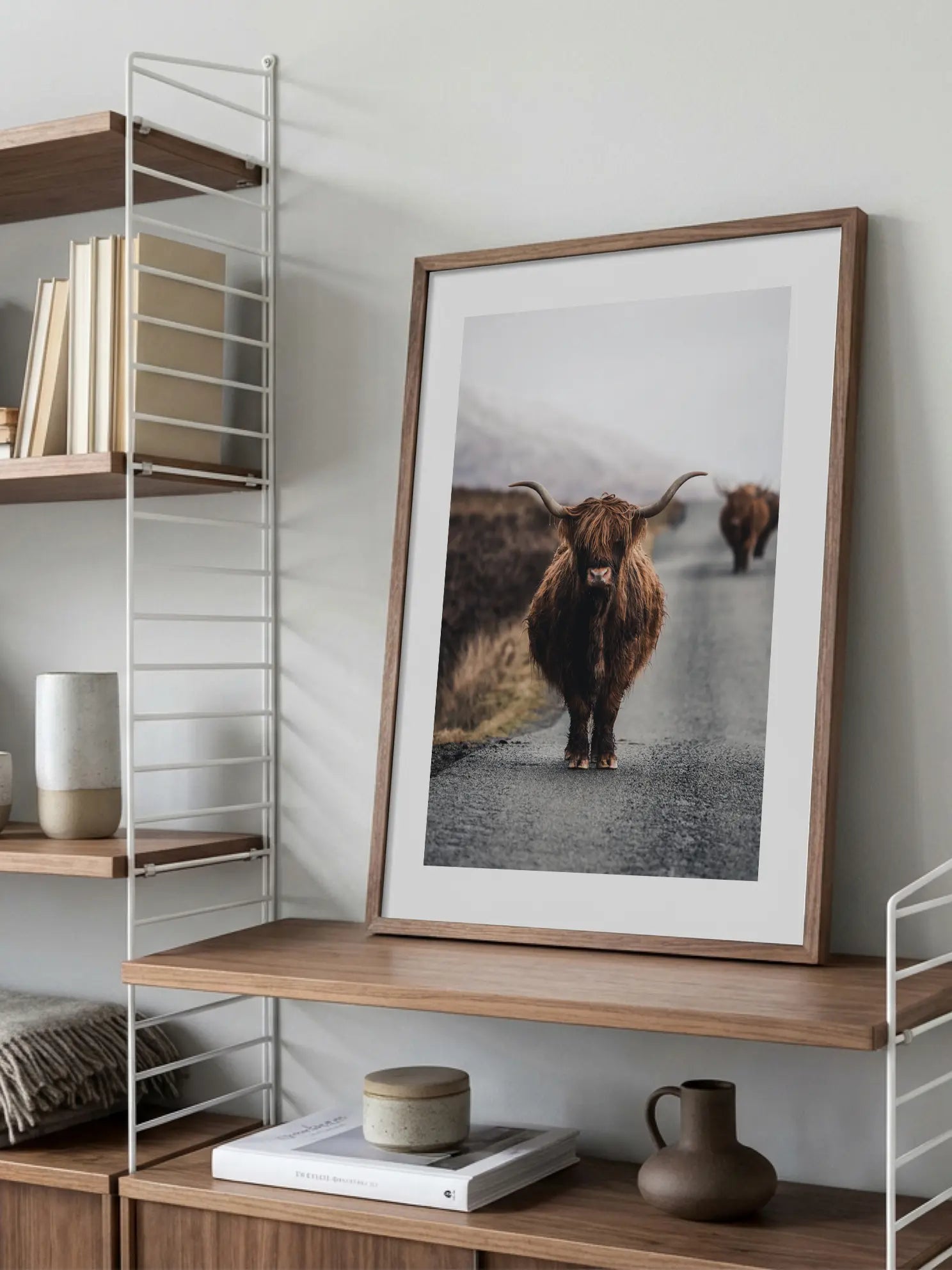 Highland Cow No2 Poster