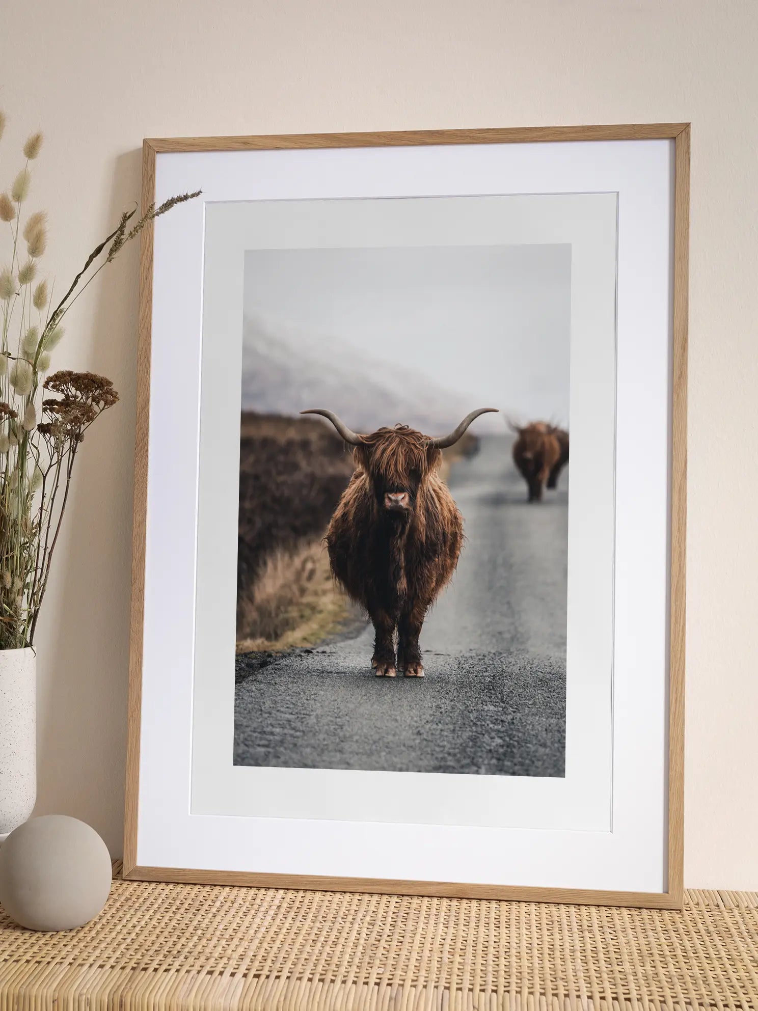 Highland Cow No2 Poster