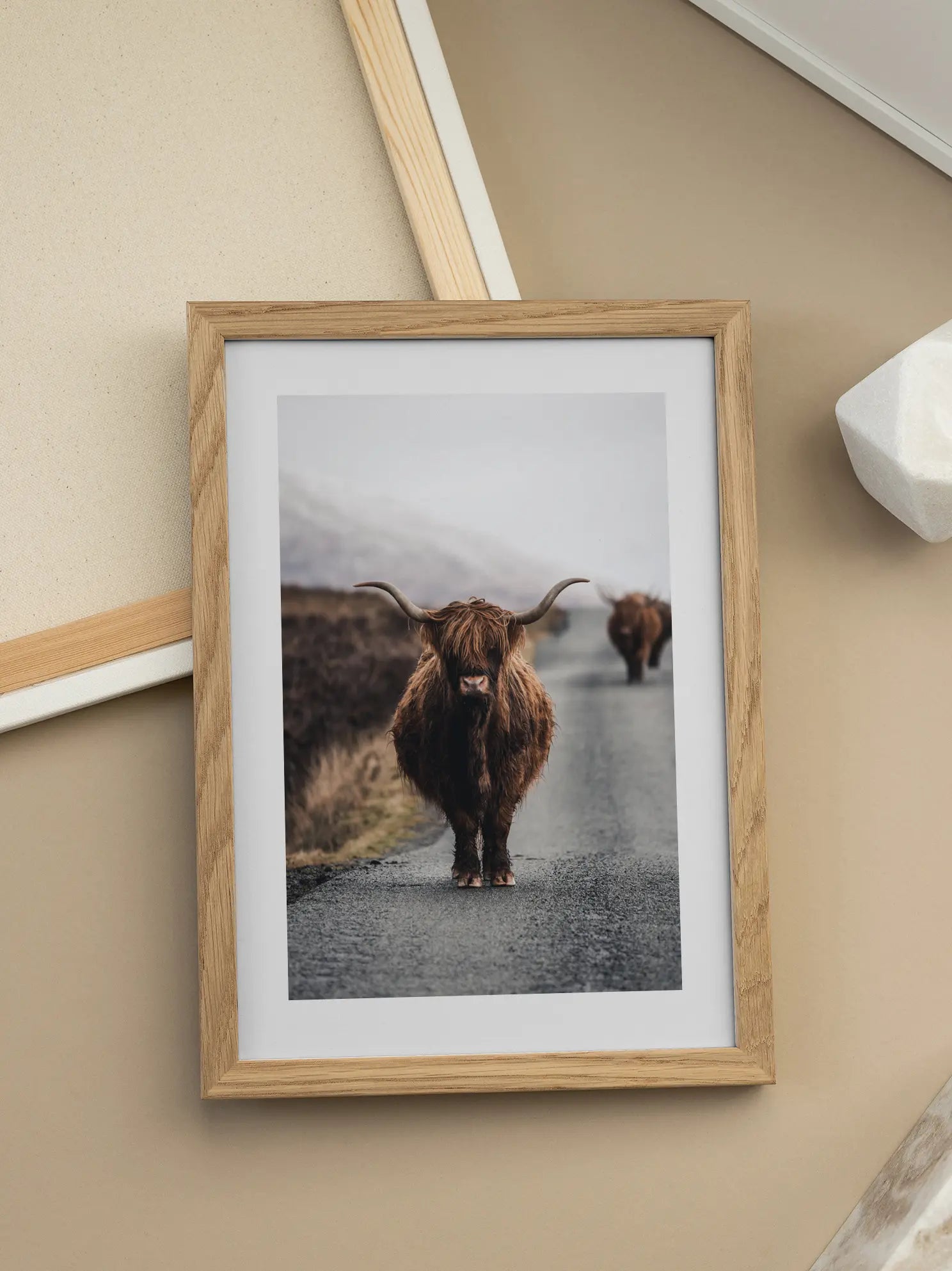 Highland Cow No2 Poster