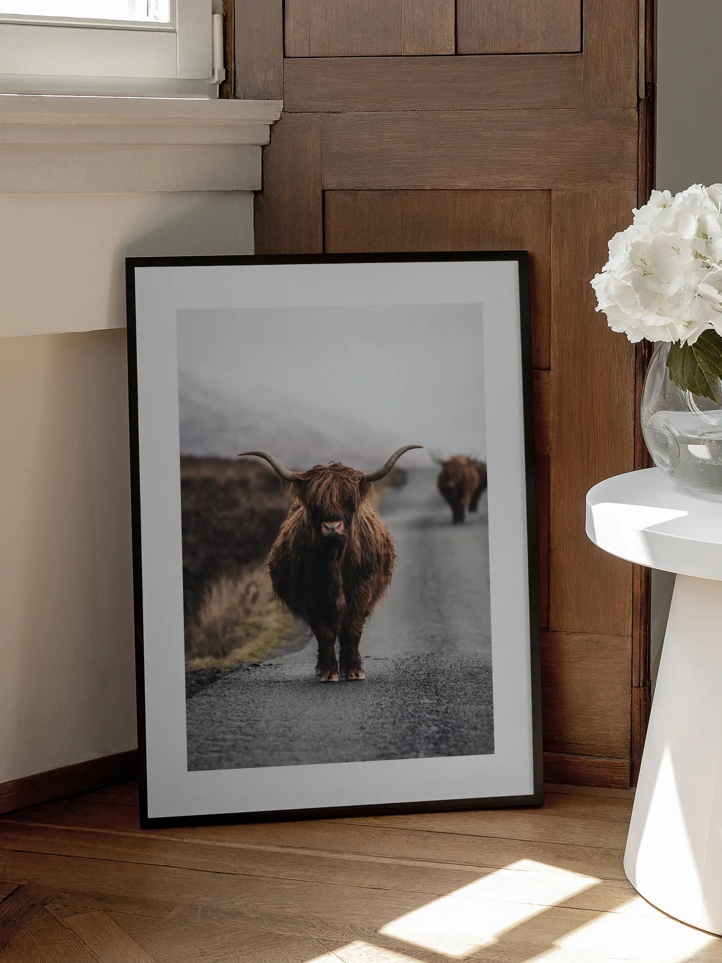 Highland Cow No2 Poster