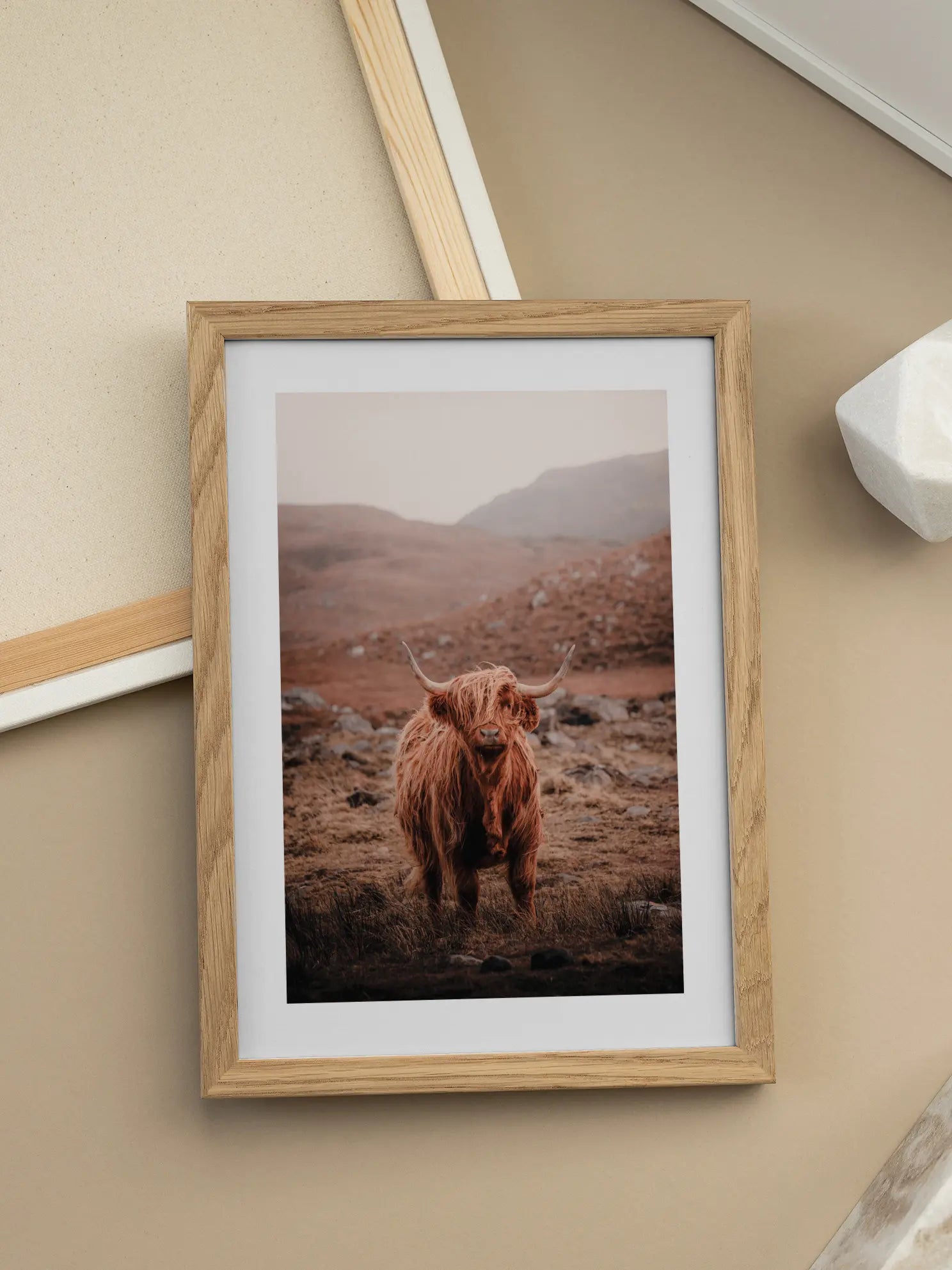 Highland Cow Poster