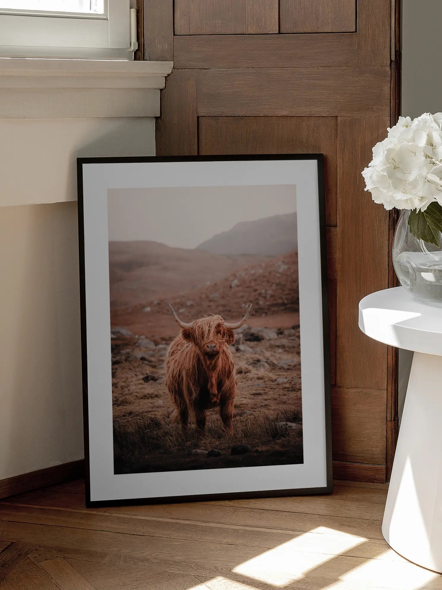 Highland Cow Poster