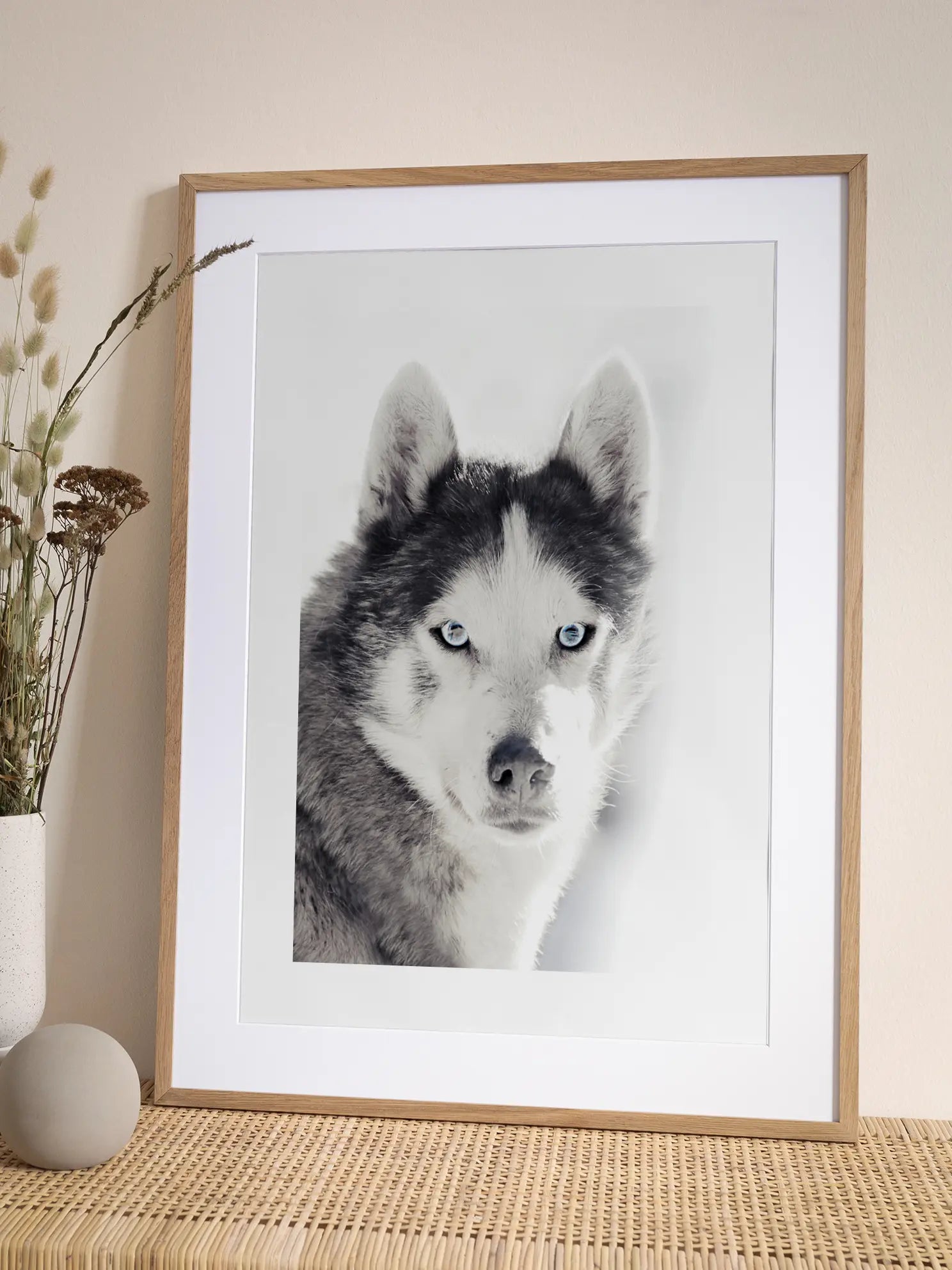 Husky Poster