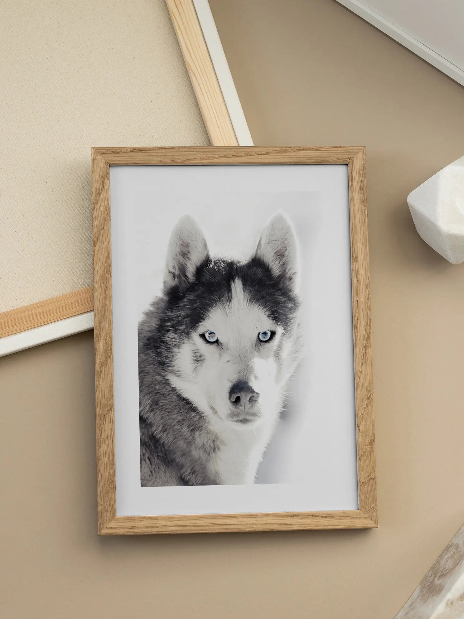 Husky Poster