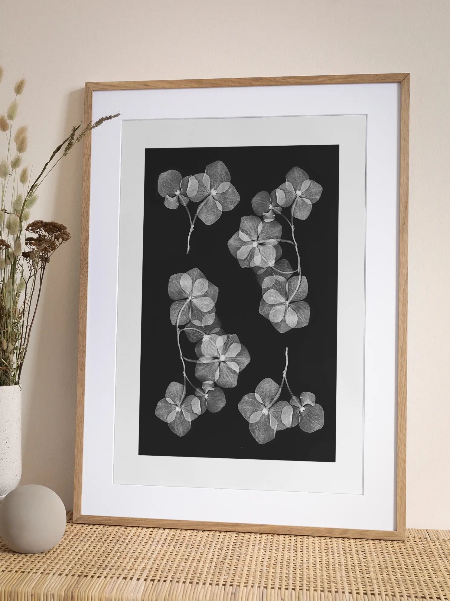 Hydrangea Transparency Poster