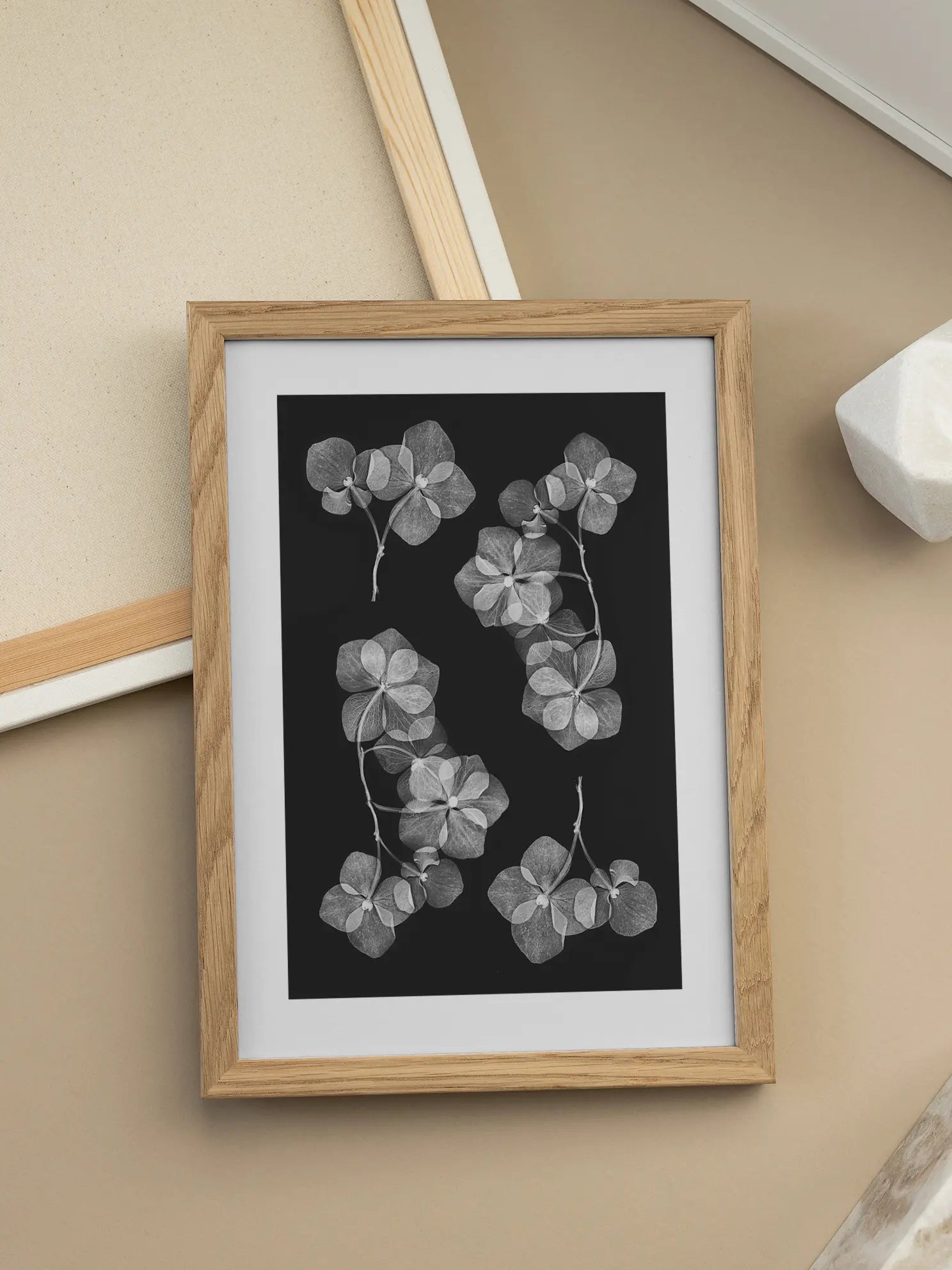 Hydrangea Transparency Poster