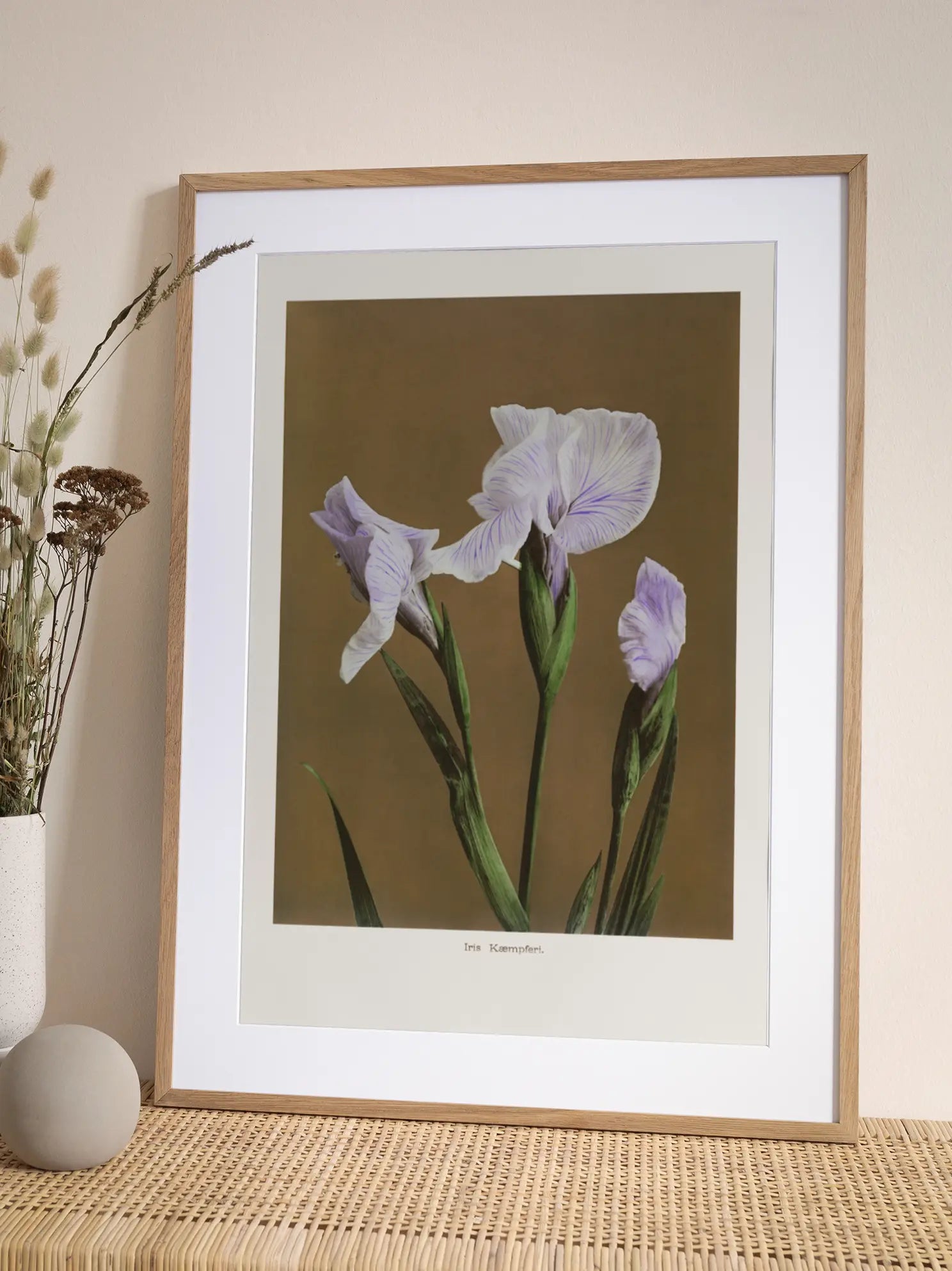 Iris Kaempferi Poster