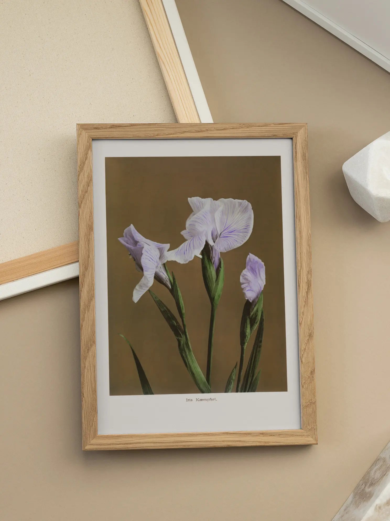 Iris Kaempferi Poster