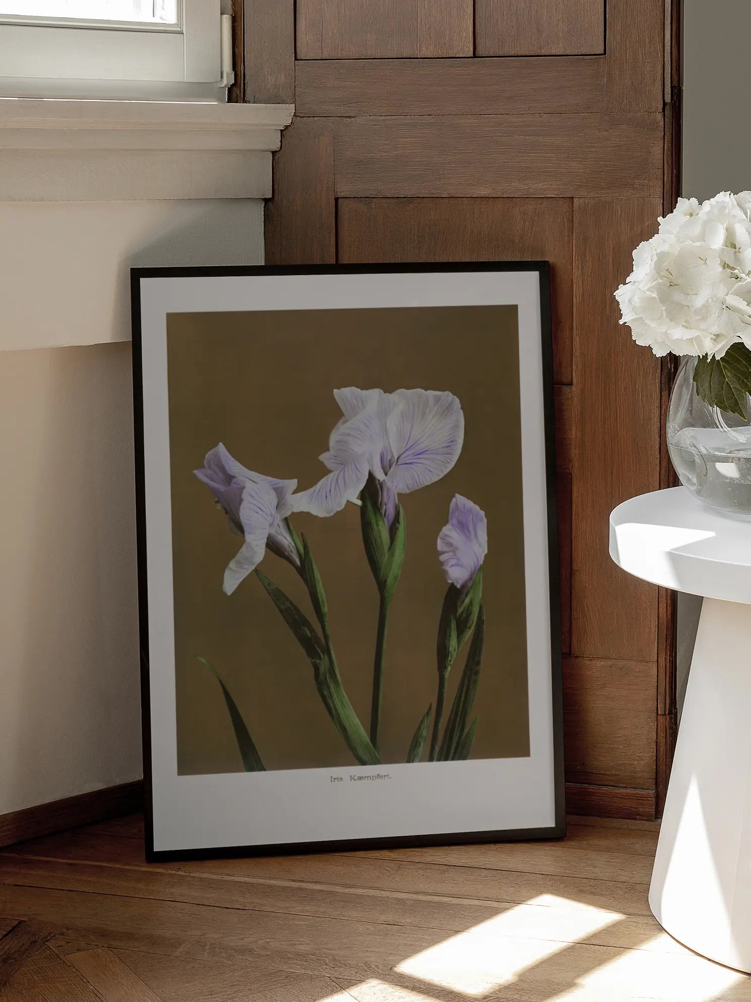 Iris Kaempferi Poster