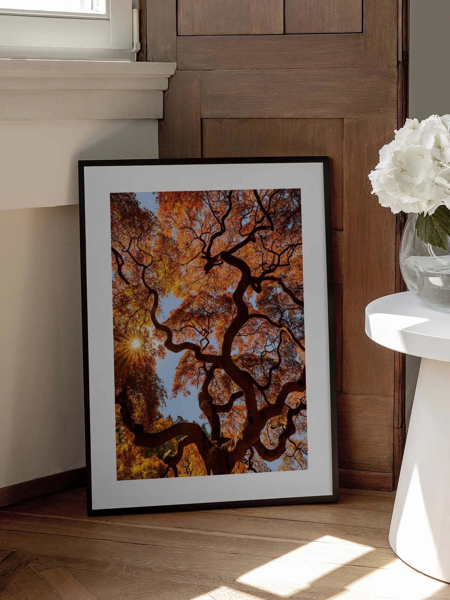 Japanese Maple Tree Poster