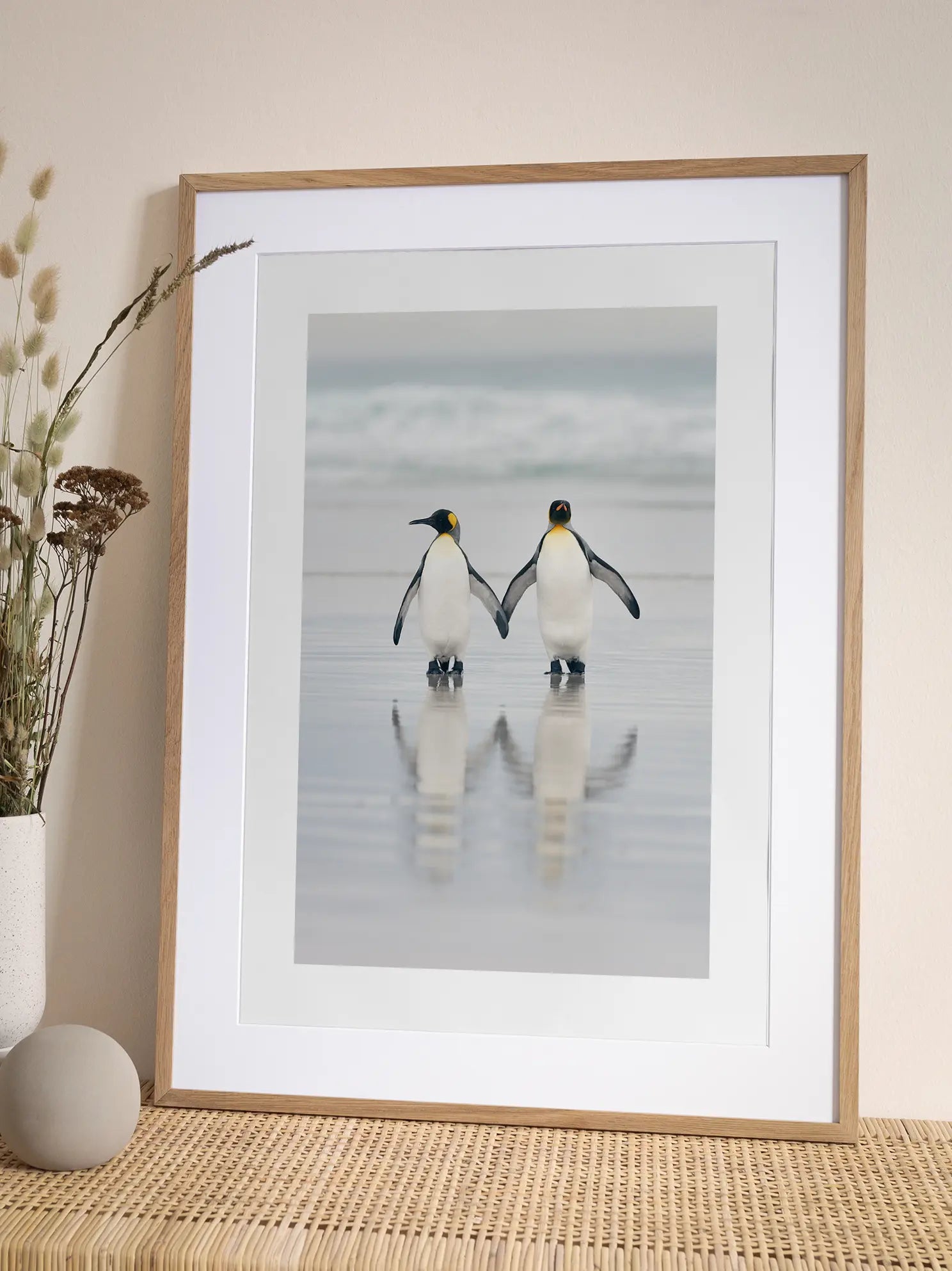 King Penguins Poster