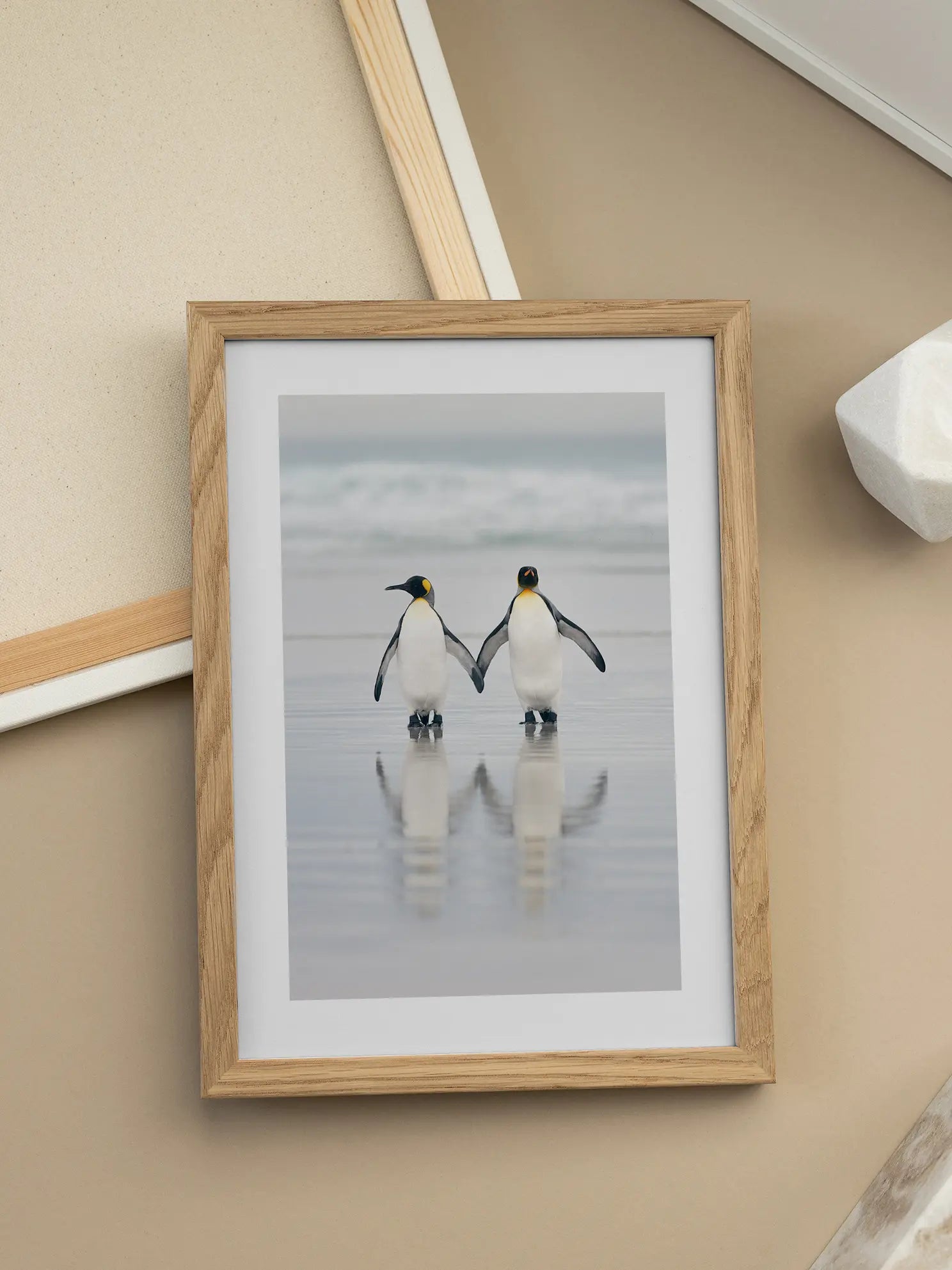 King Penguins Poster