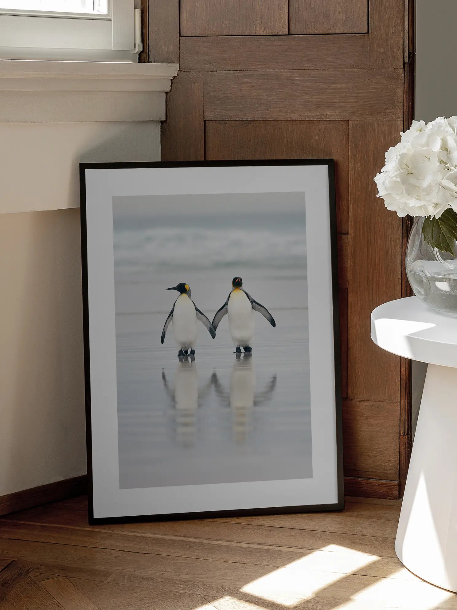 King Penguins Poster