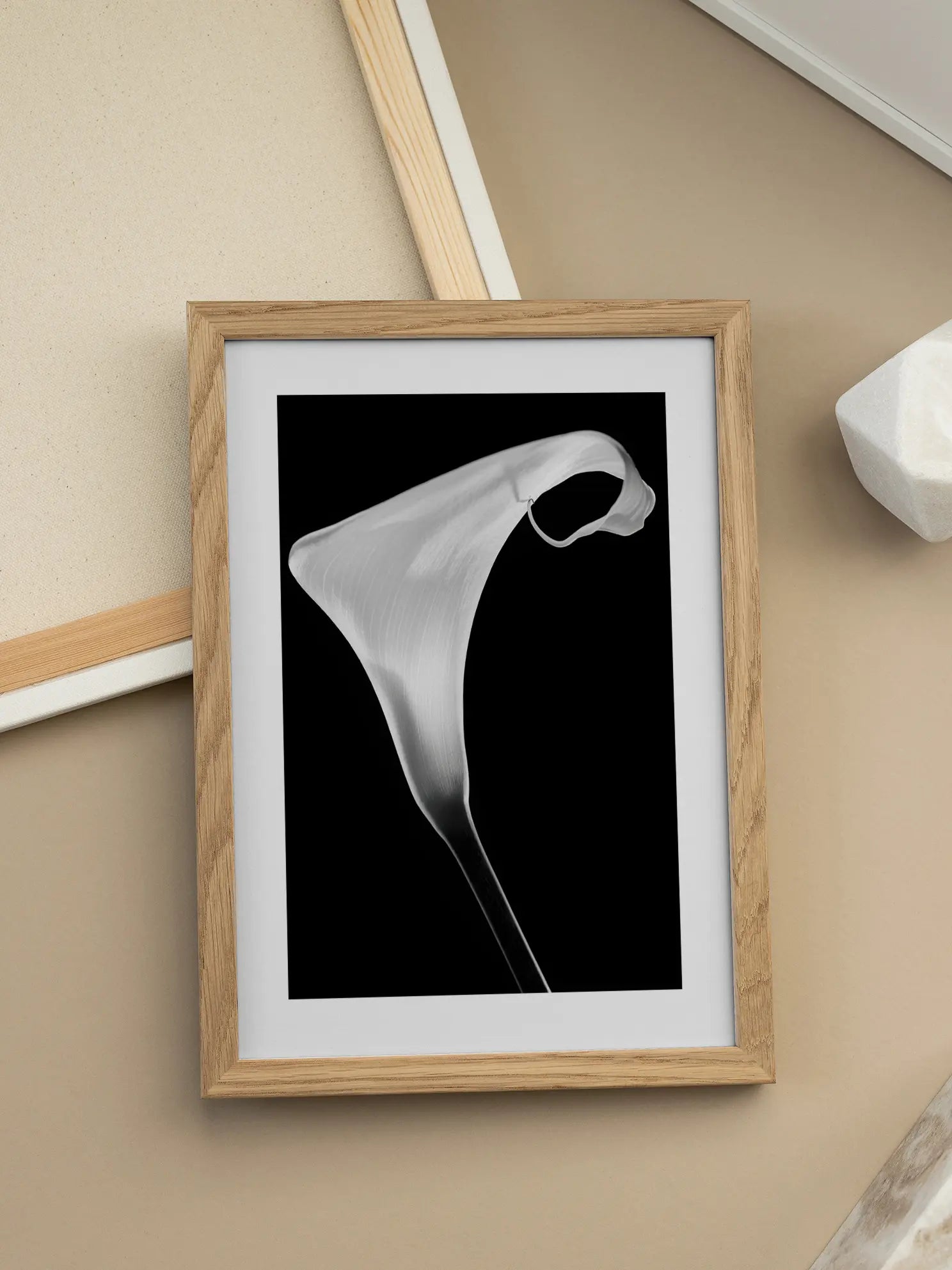 Lily Close Up Poster