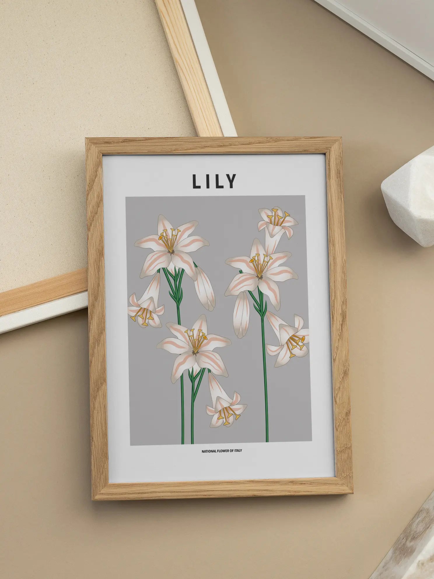 Lily of Italy Poster