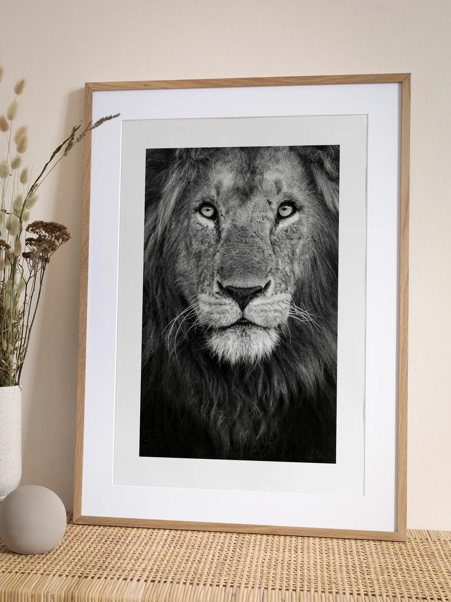 Lion Portait Poster