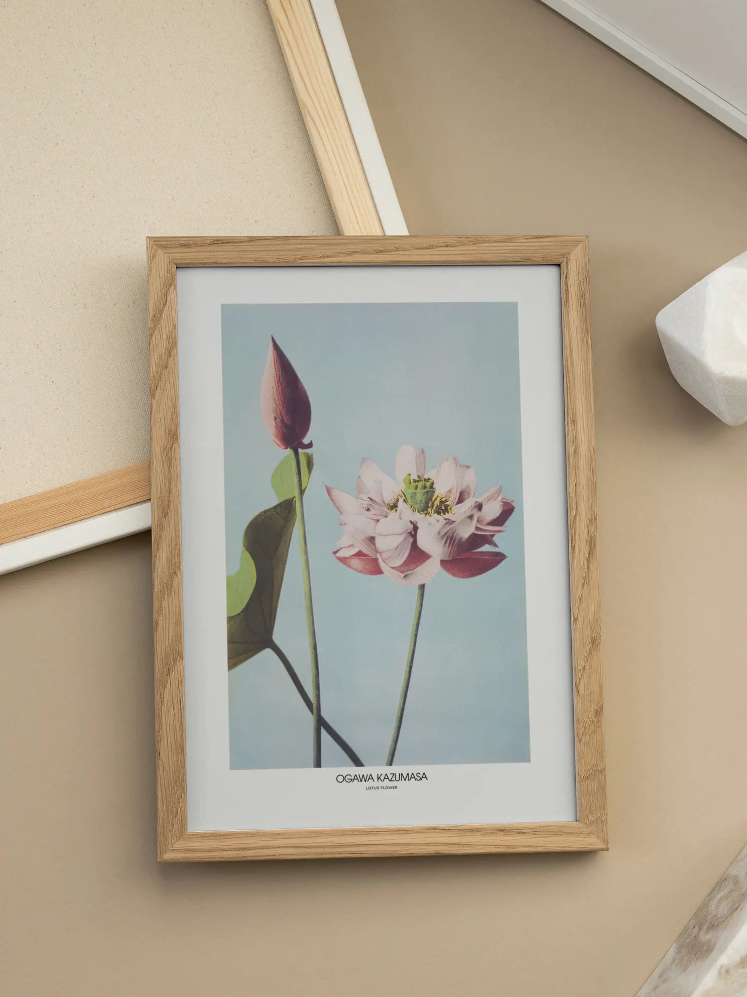 Lotus Flower by Ogawa Poster