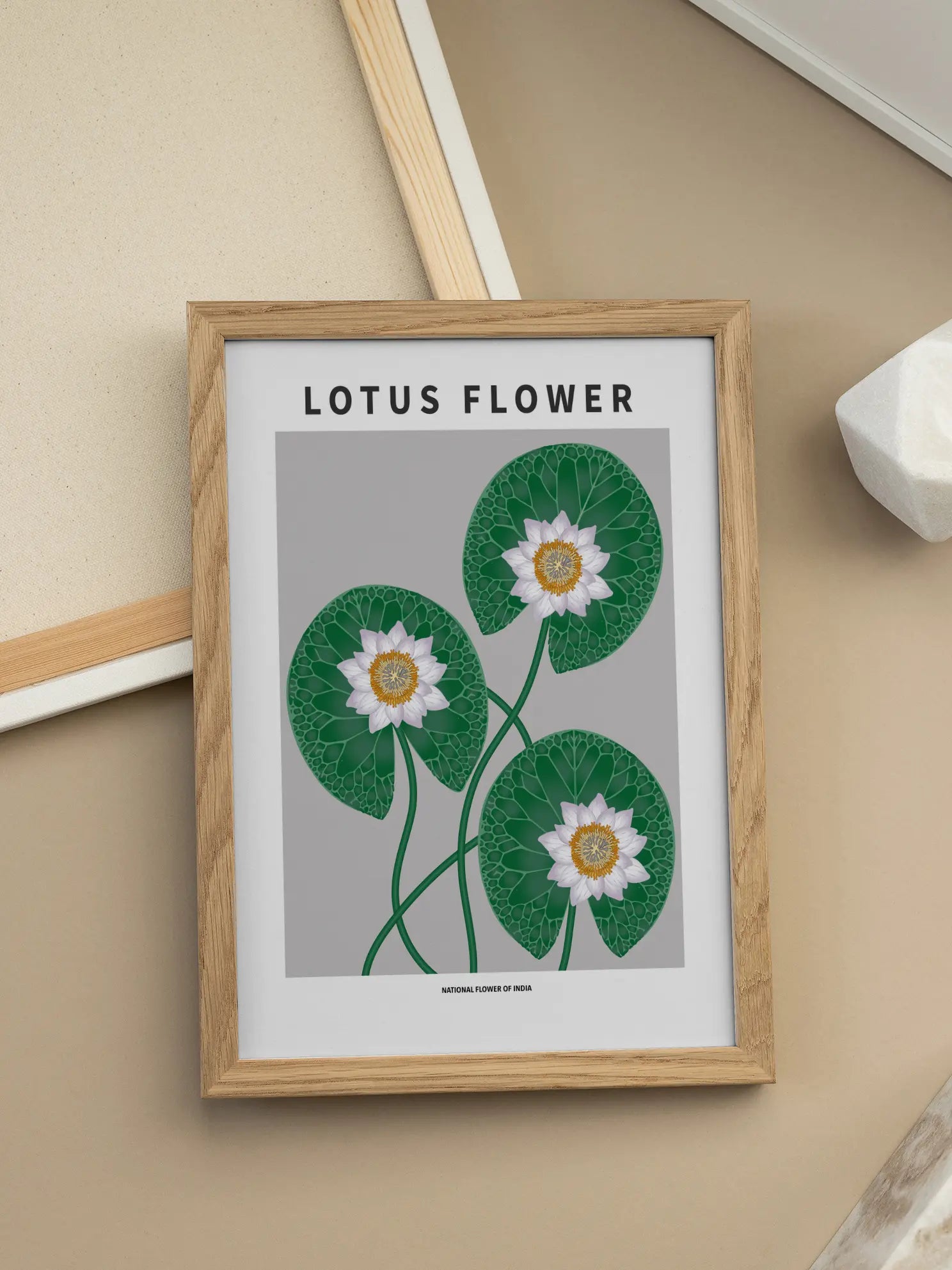 Lotus Flower of India Poster