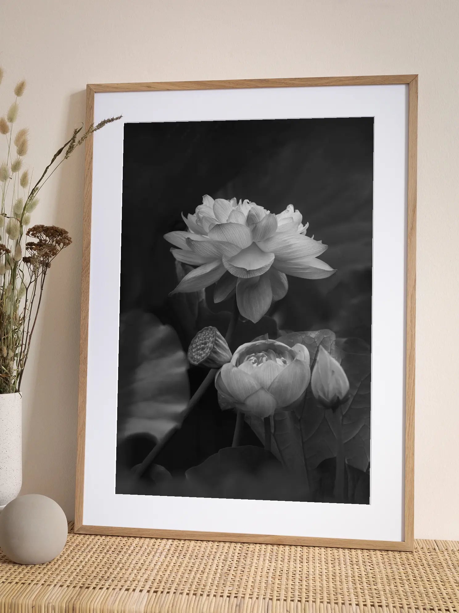 Lotus Flowers Black and White Poster