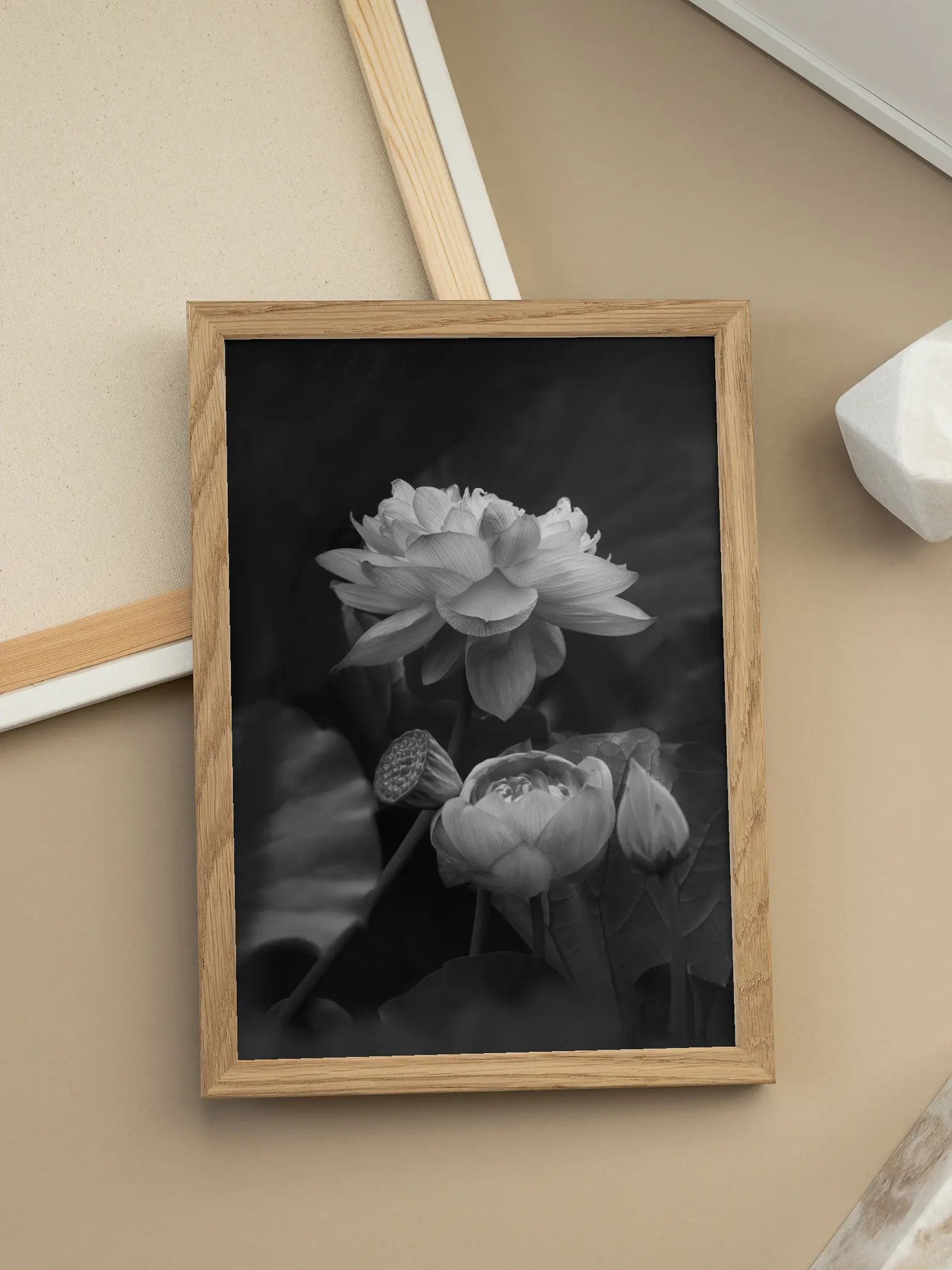 Lotus Flowers Black and White Poster