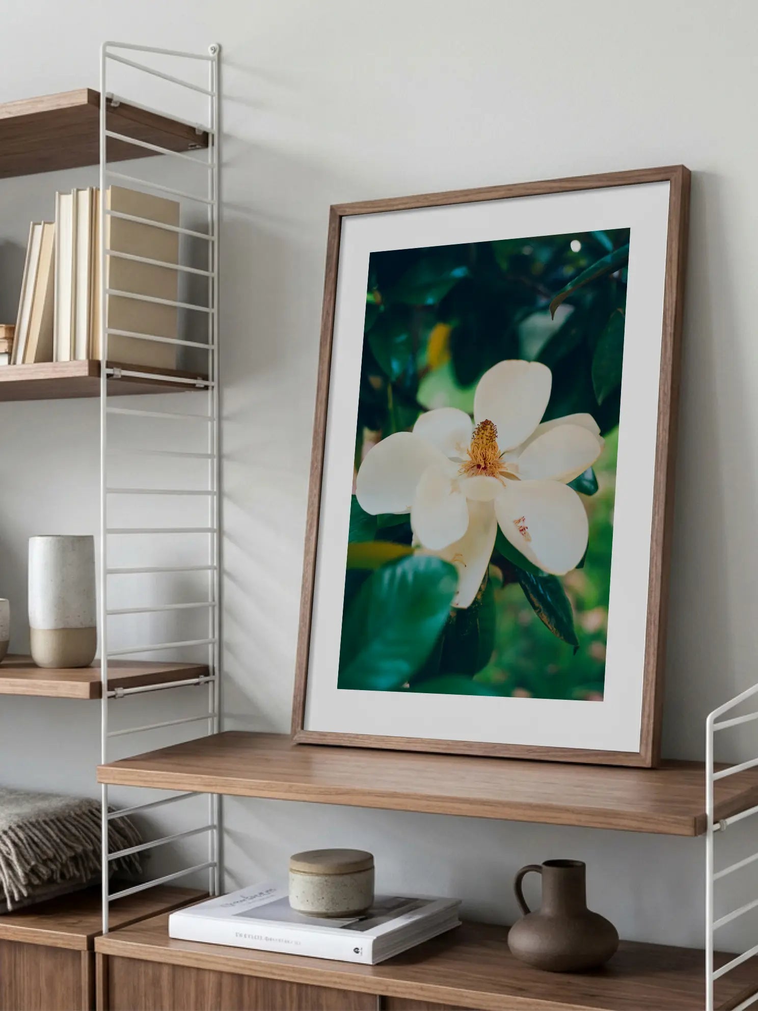 Magnolia Bloom No1 Poster