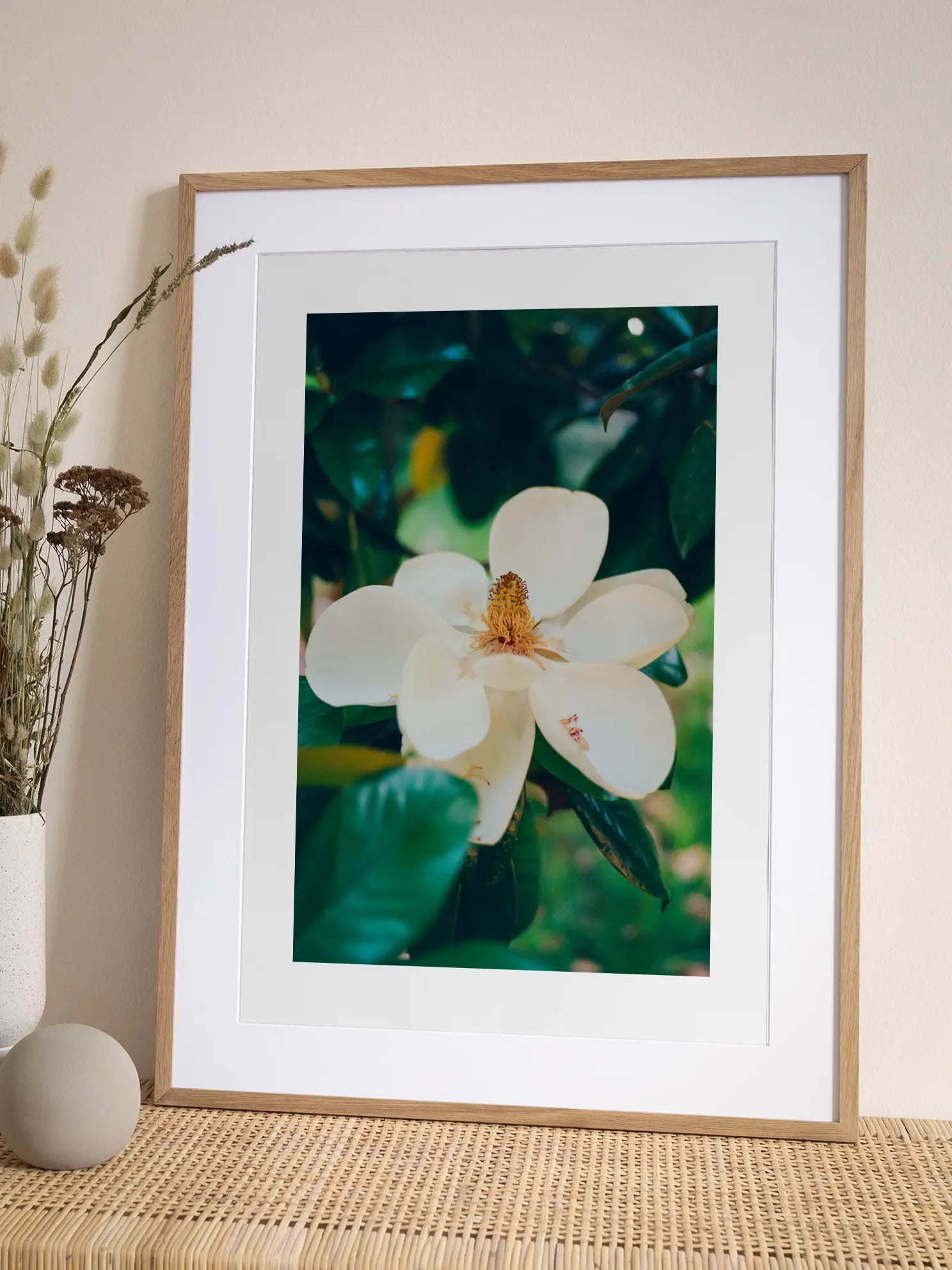 Magnolia Bloom No1 Poster