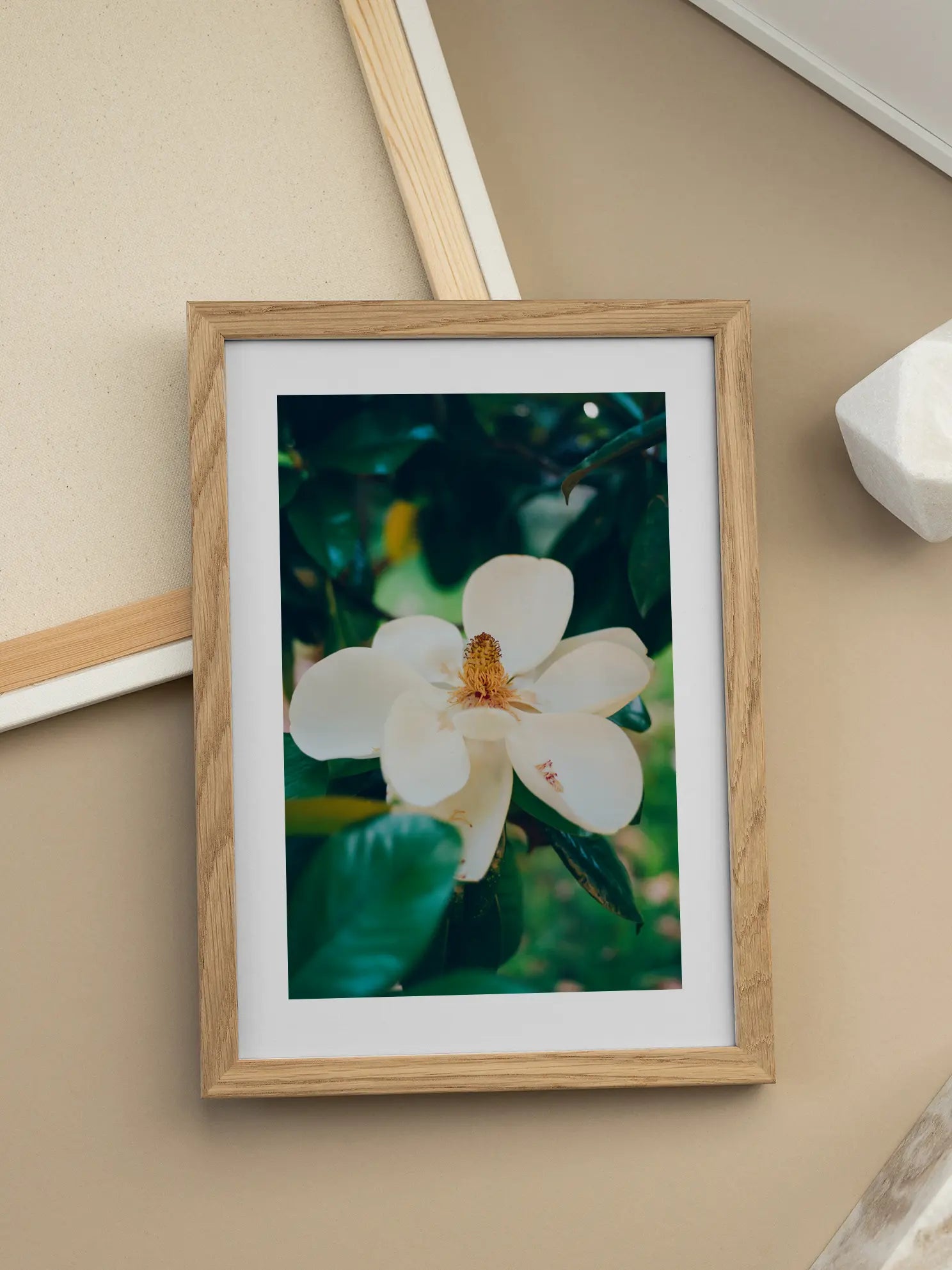 Magnolia Bloom No1 Poster