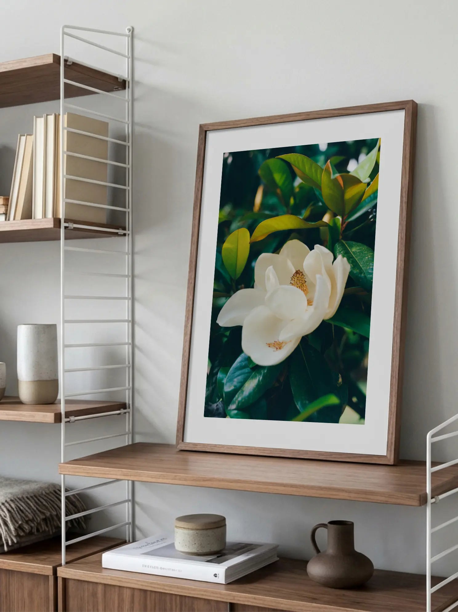 Magnolia Bloom No2 Poster