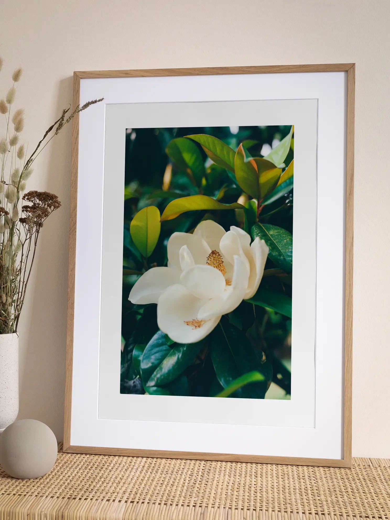Magnolia Bloom No2 Poster