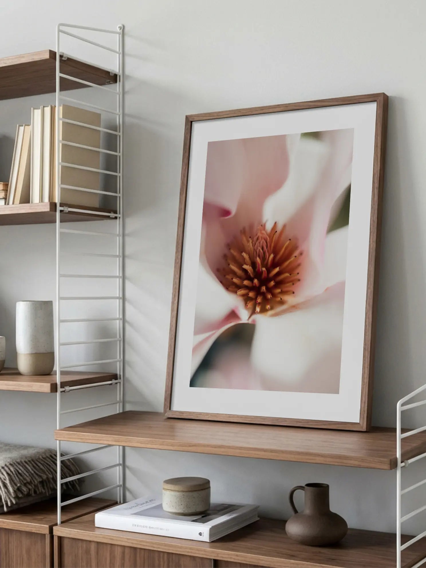 Magnolia Blossom Close Up Poster