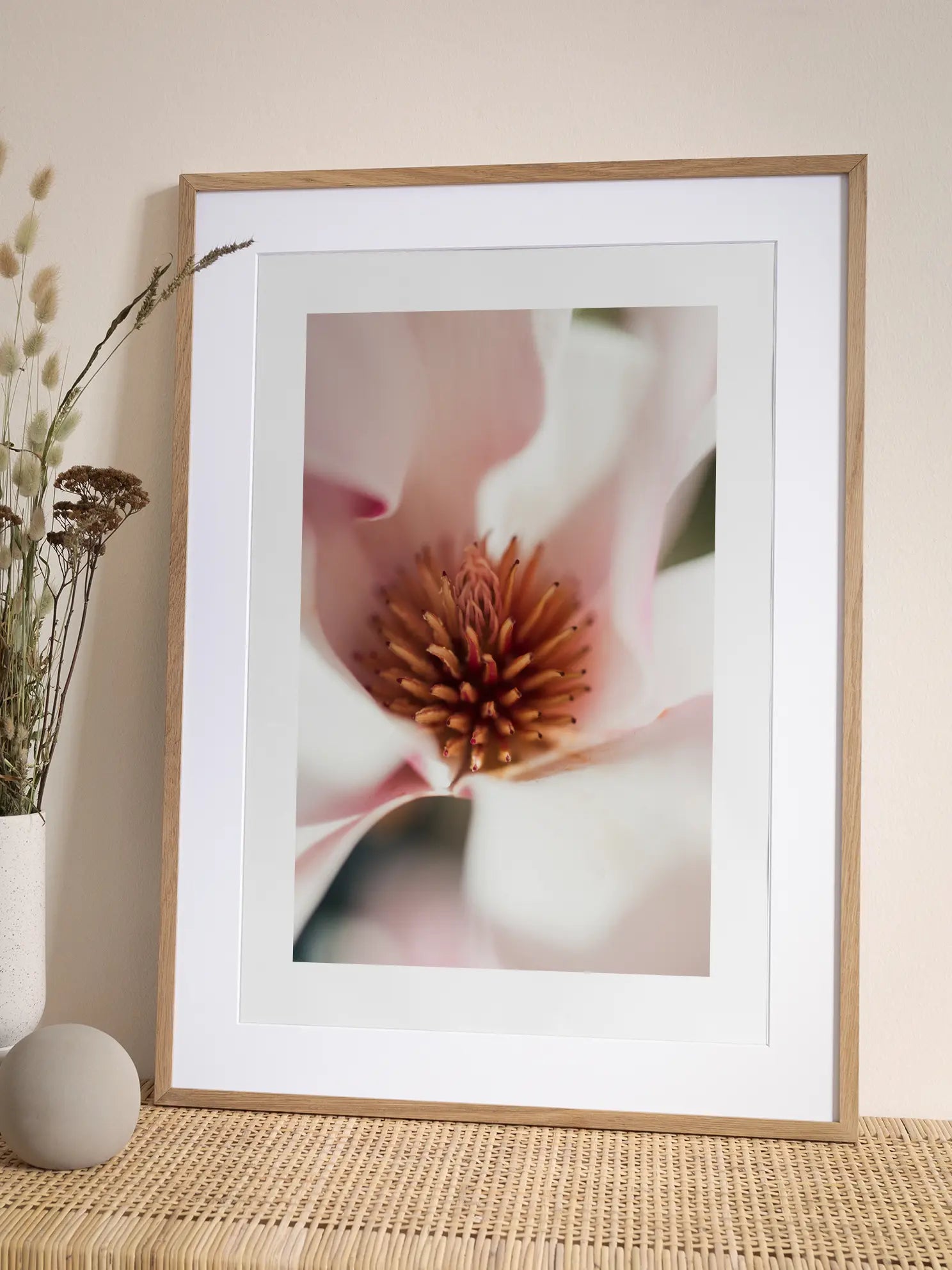 Magnolia Blossom Close Up Poster