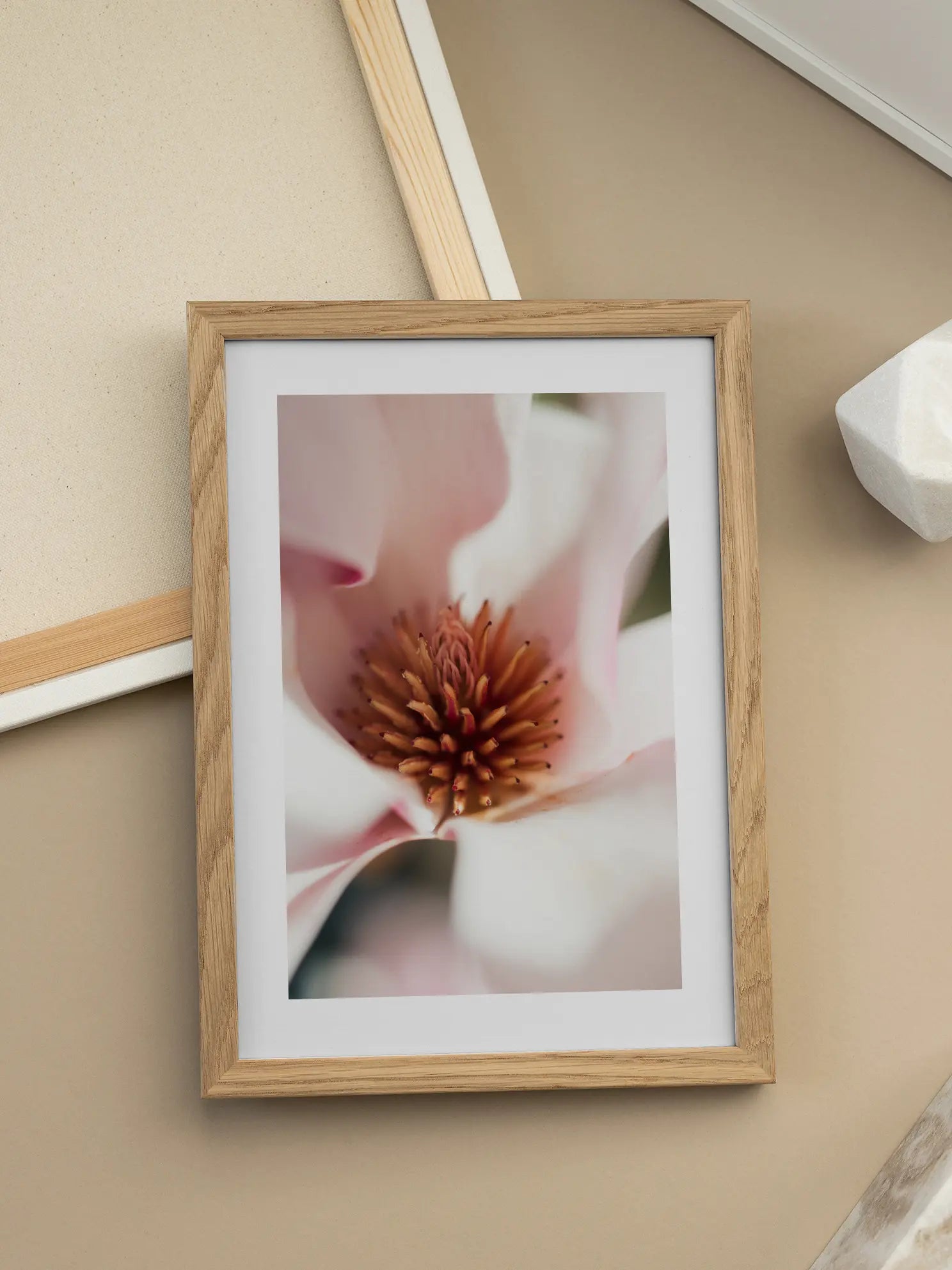 Magnolia Blossom Close Up Poster