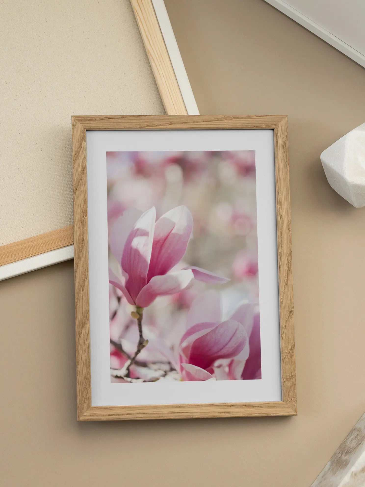 Magnolia Blossom Poster