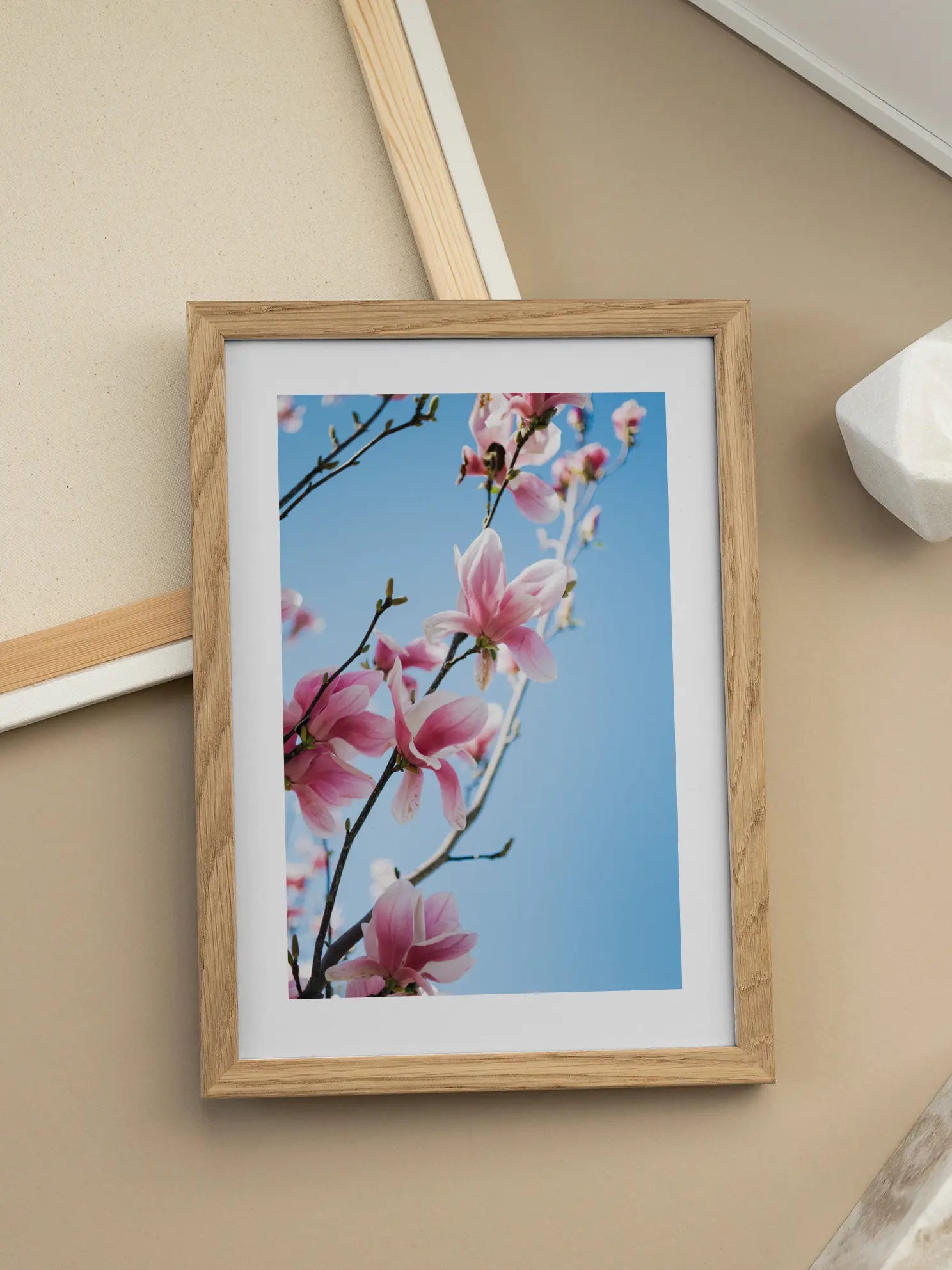 Magnolia Sky Poster