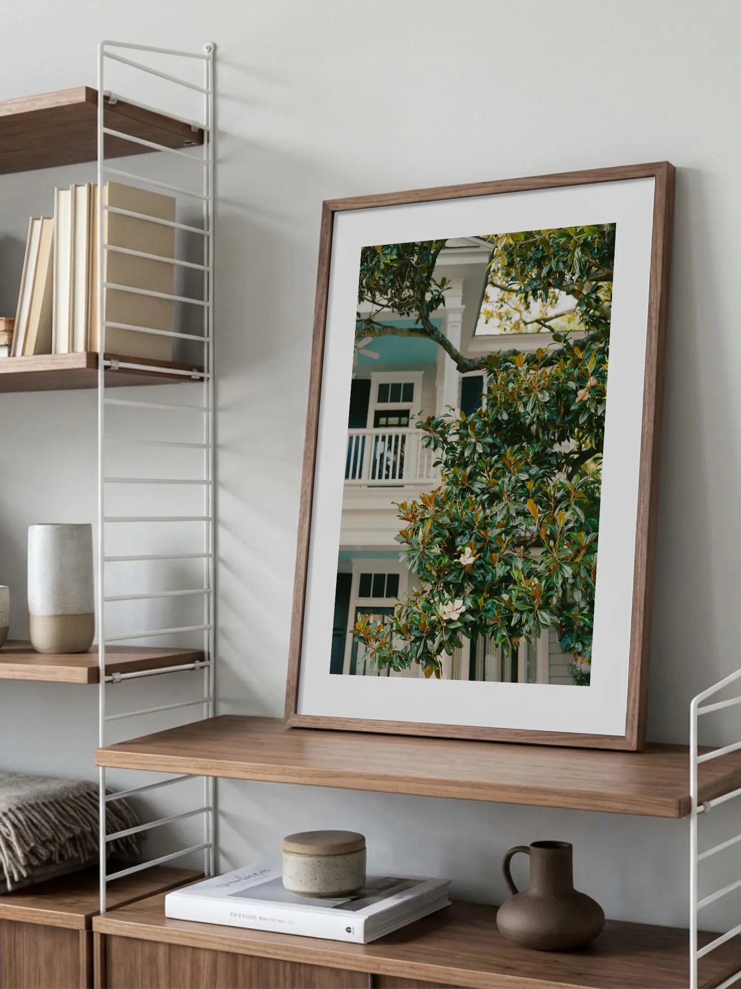 Magnolia Tree Poster