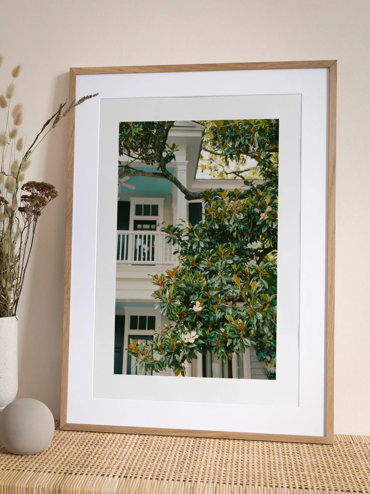 Magnolia Tree Poster