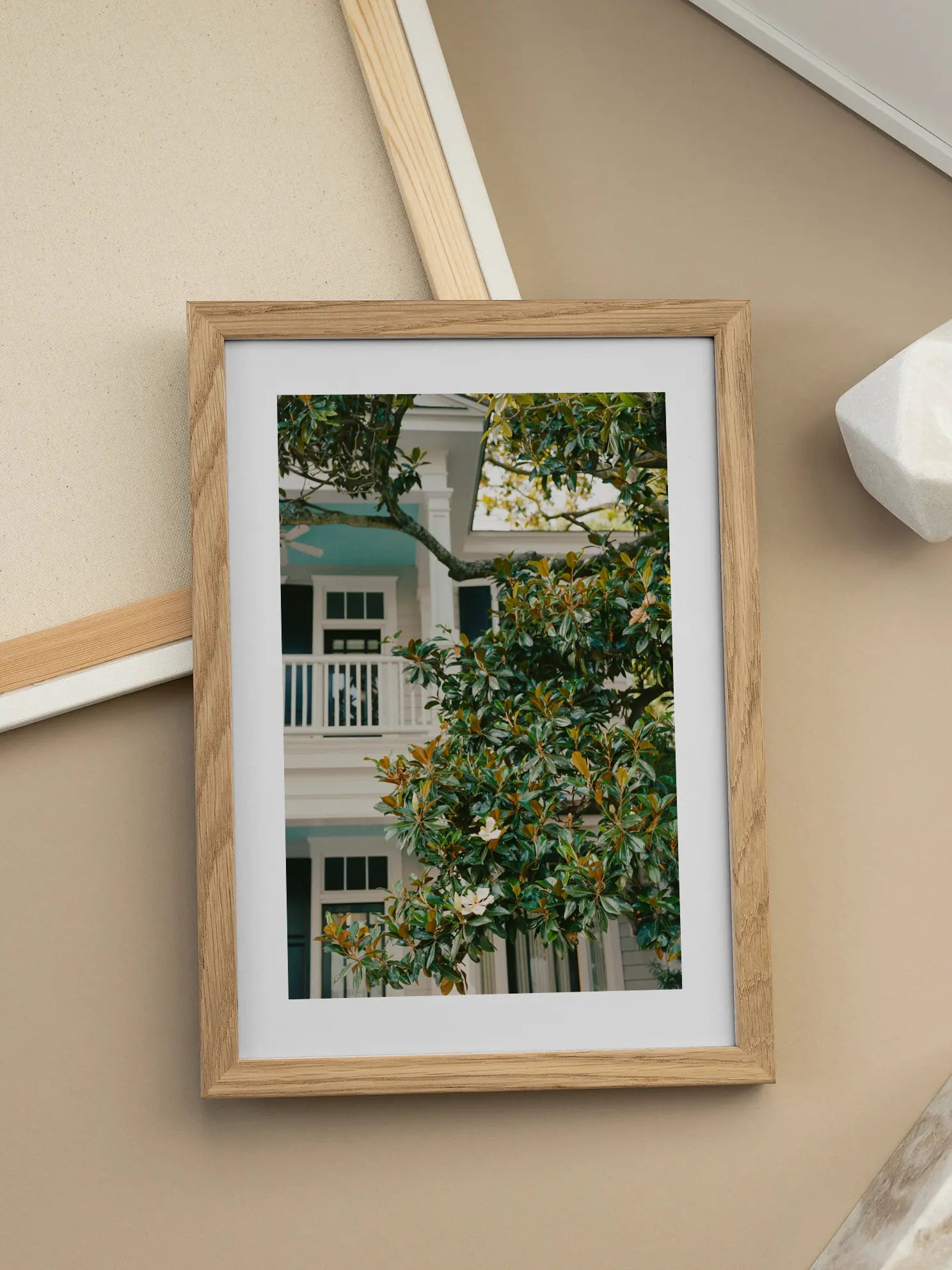 Magnolia Tree Poster