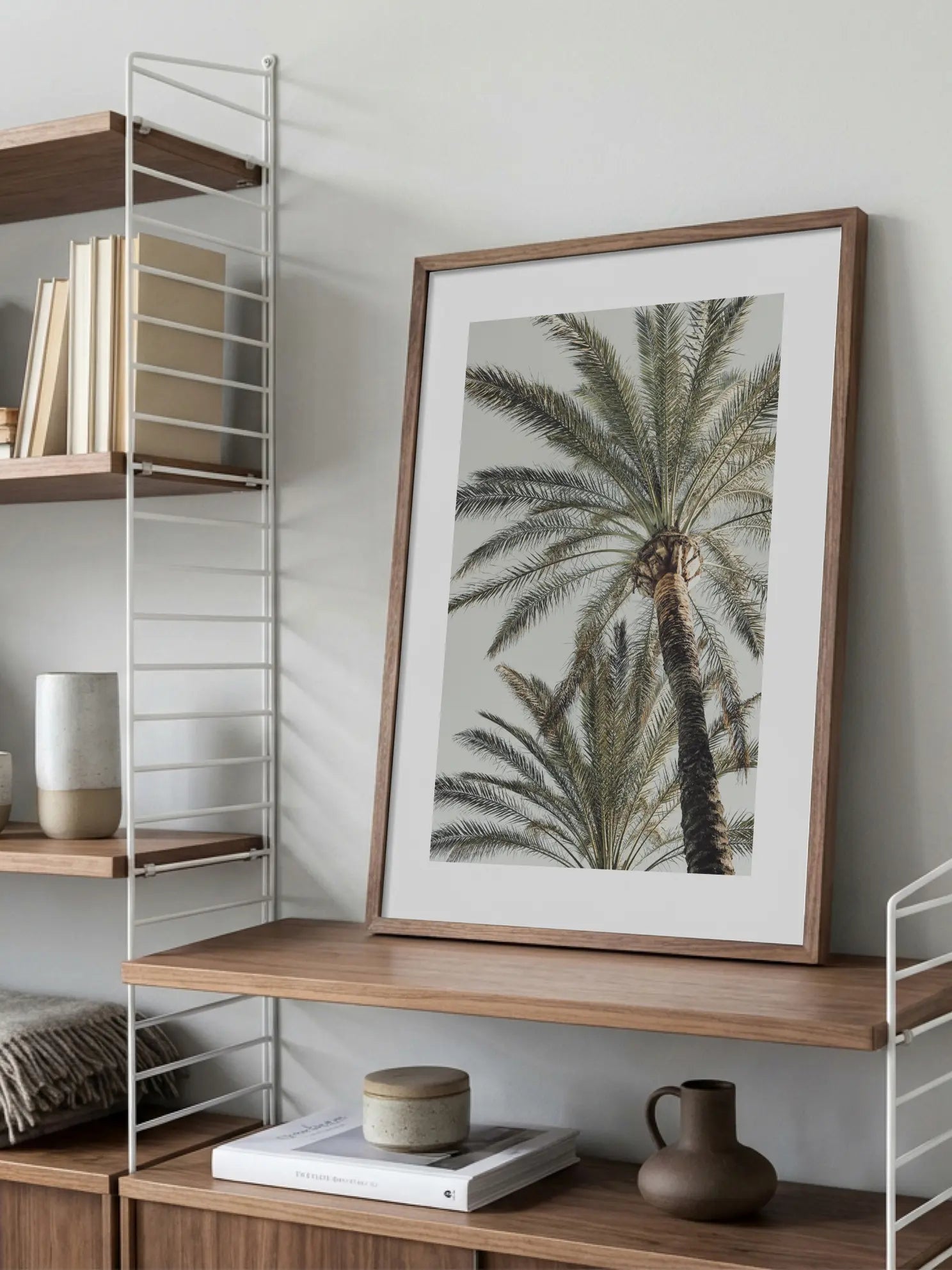 Mediterranean Palms Poster