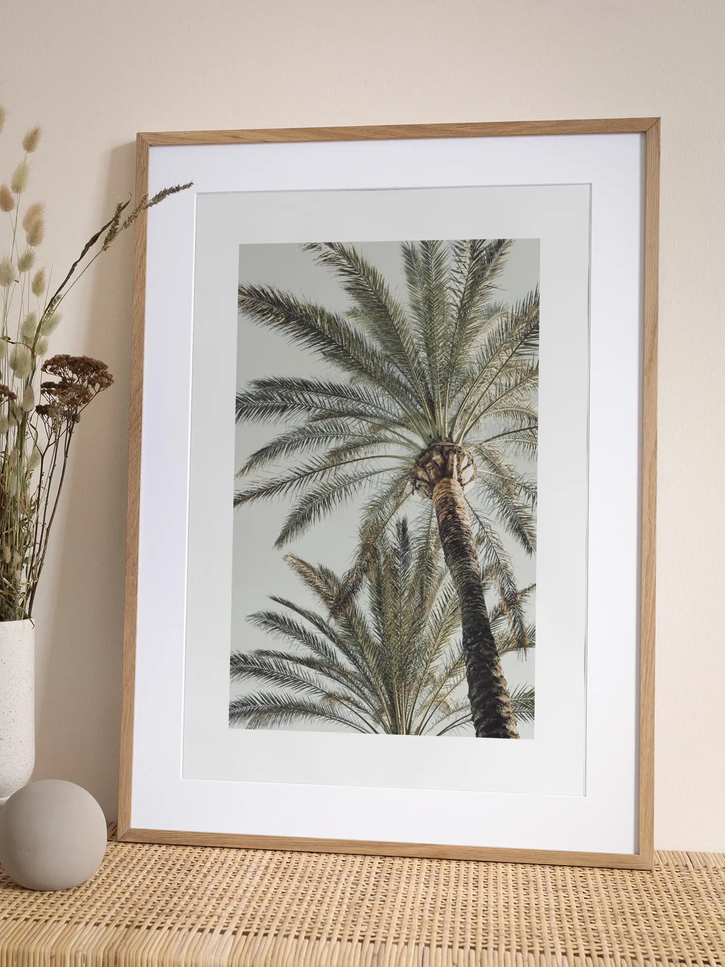 Mediterranean Palms Poster