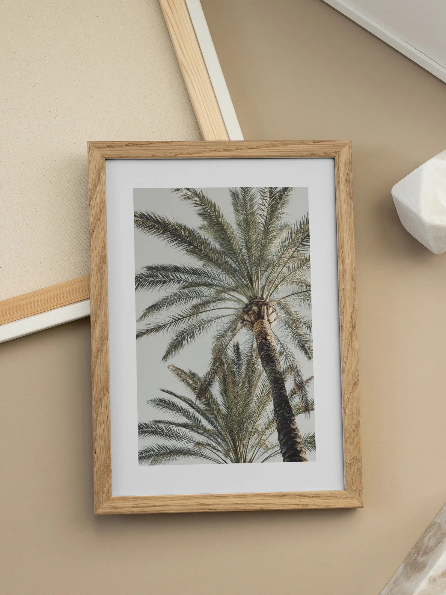 Mediterranean Palms Poster
