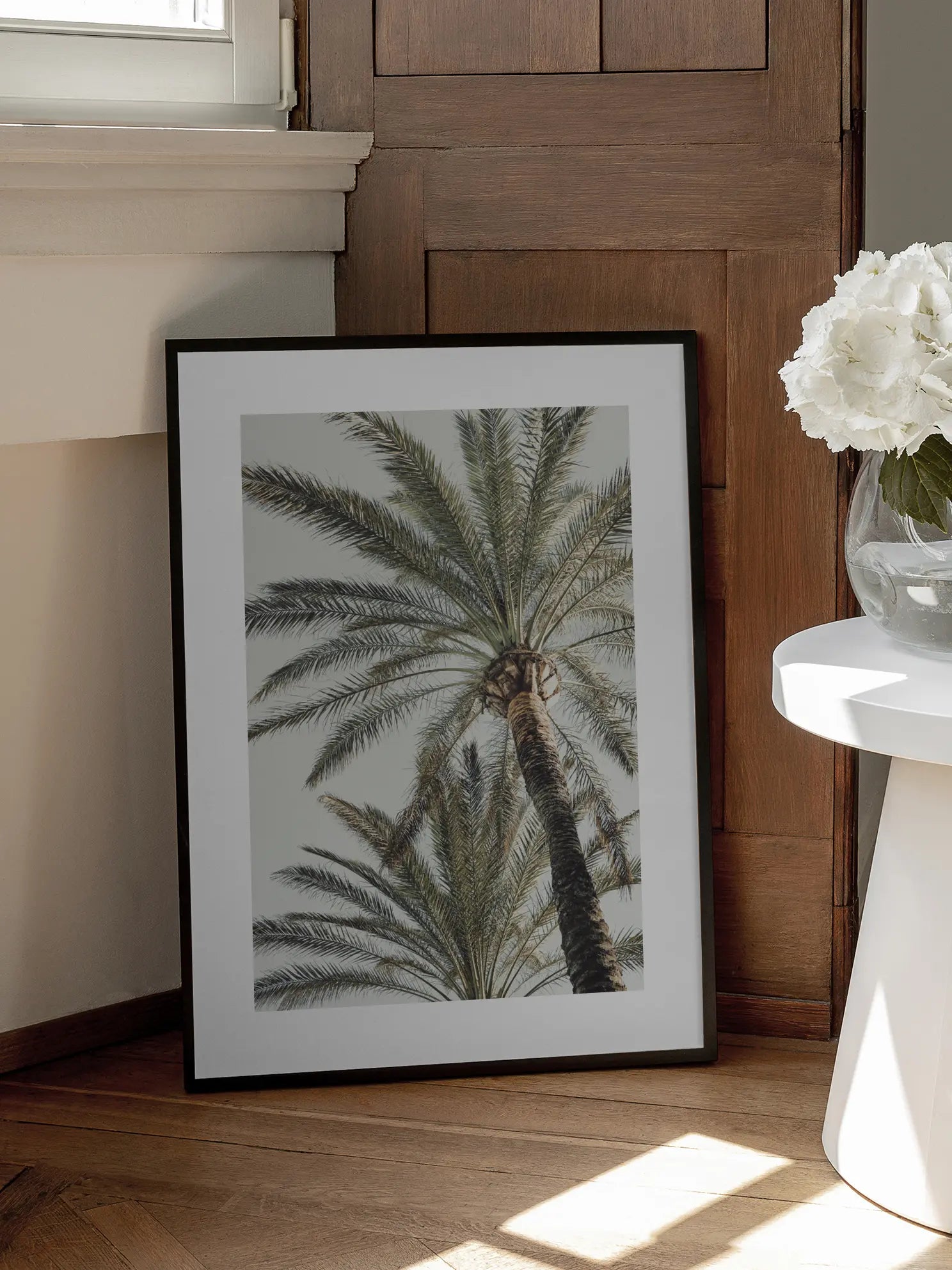 Mediterranean Palms Poster