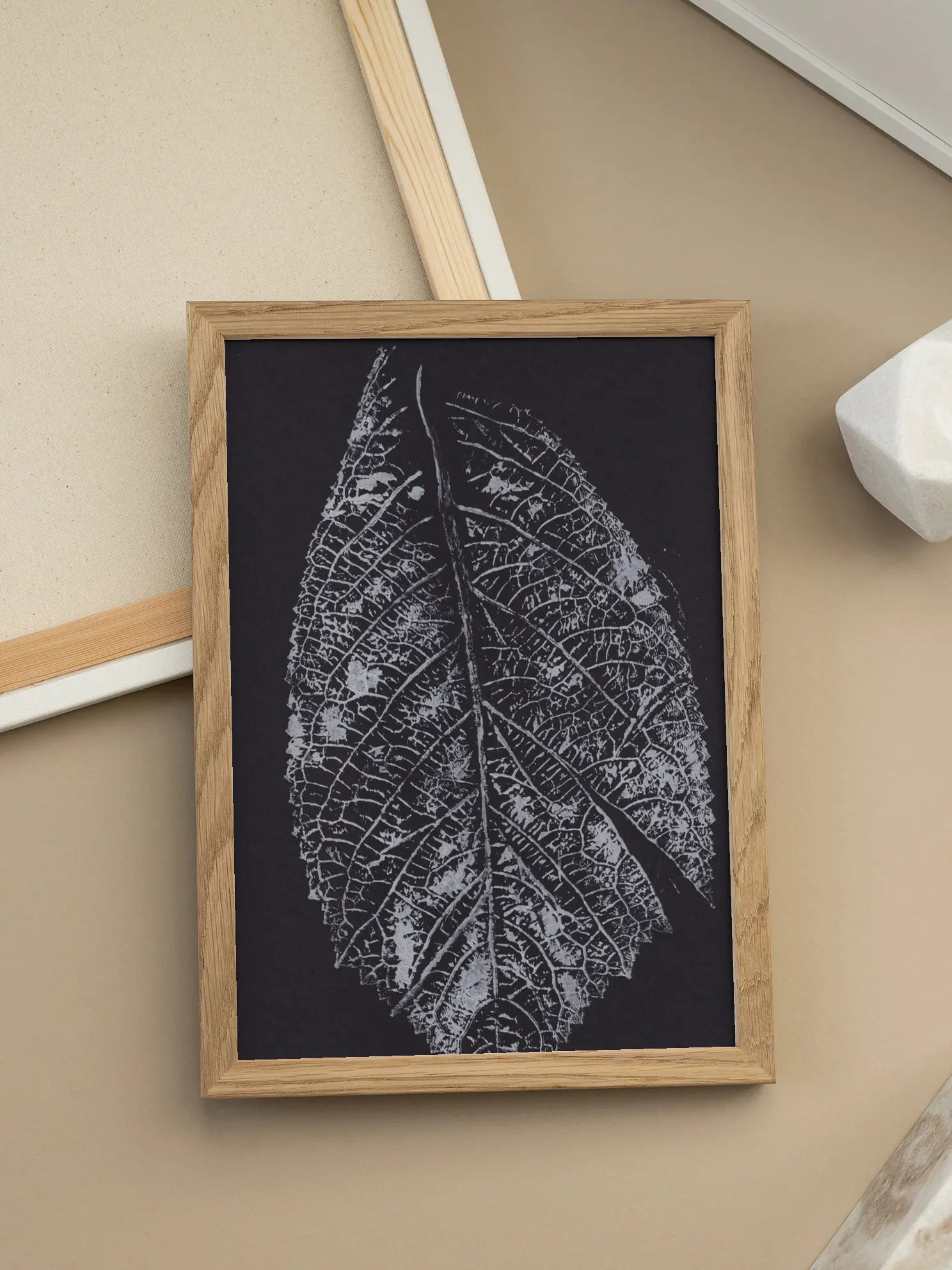 Monochrome Leaf Poster
