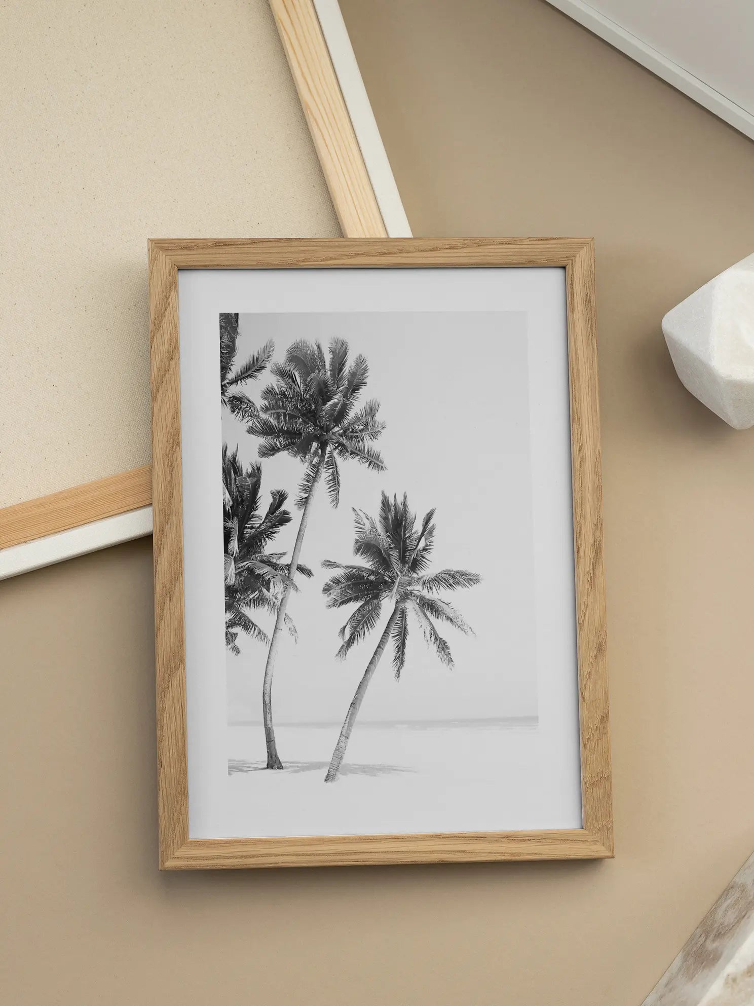 Monochrome Palms Poster
