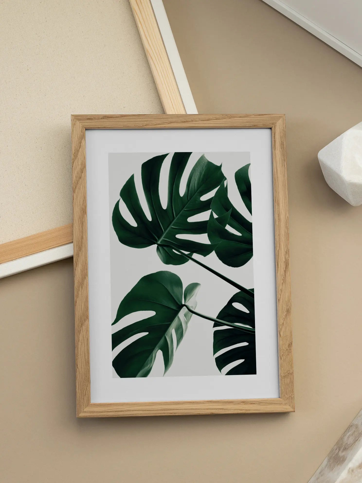 Monstera No1 Poster