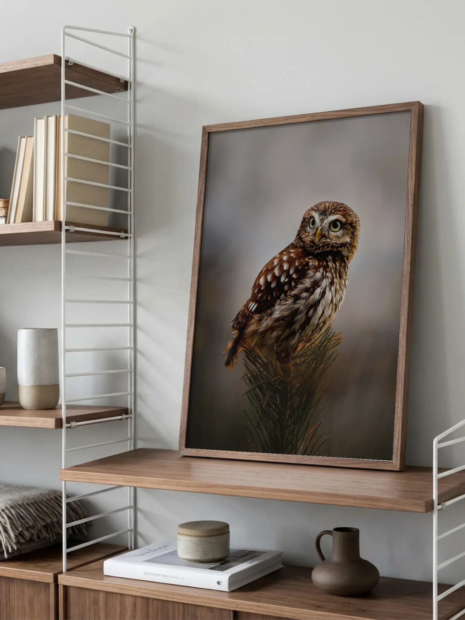 Morning With Owl Poster