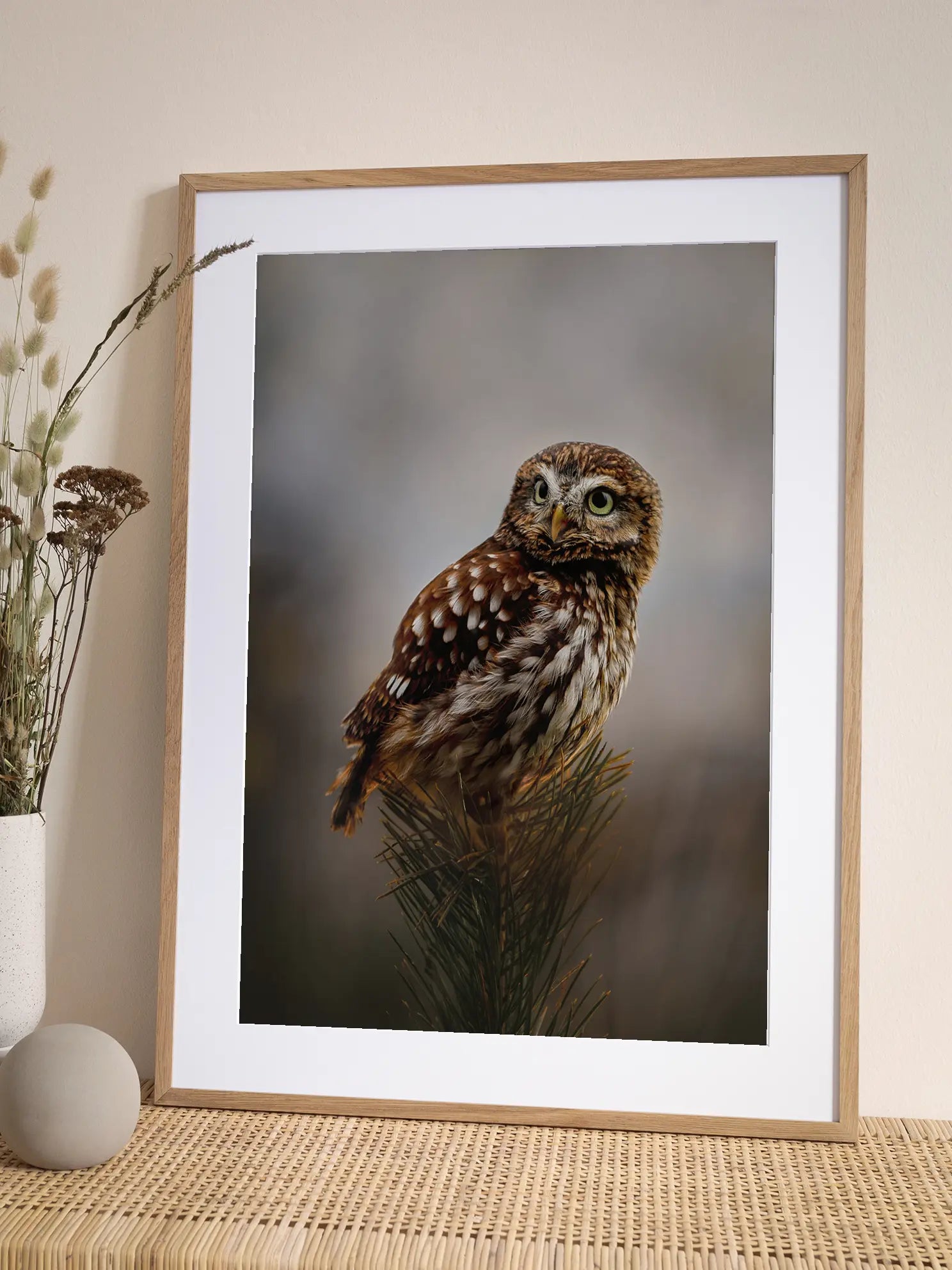 Morning With Owl Poster